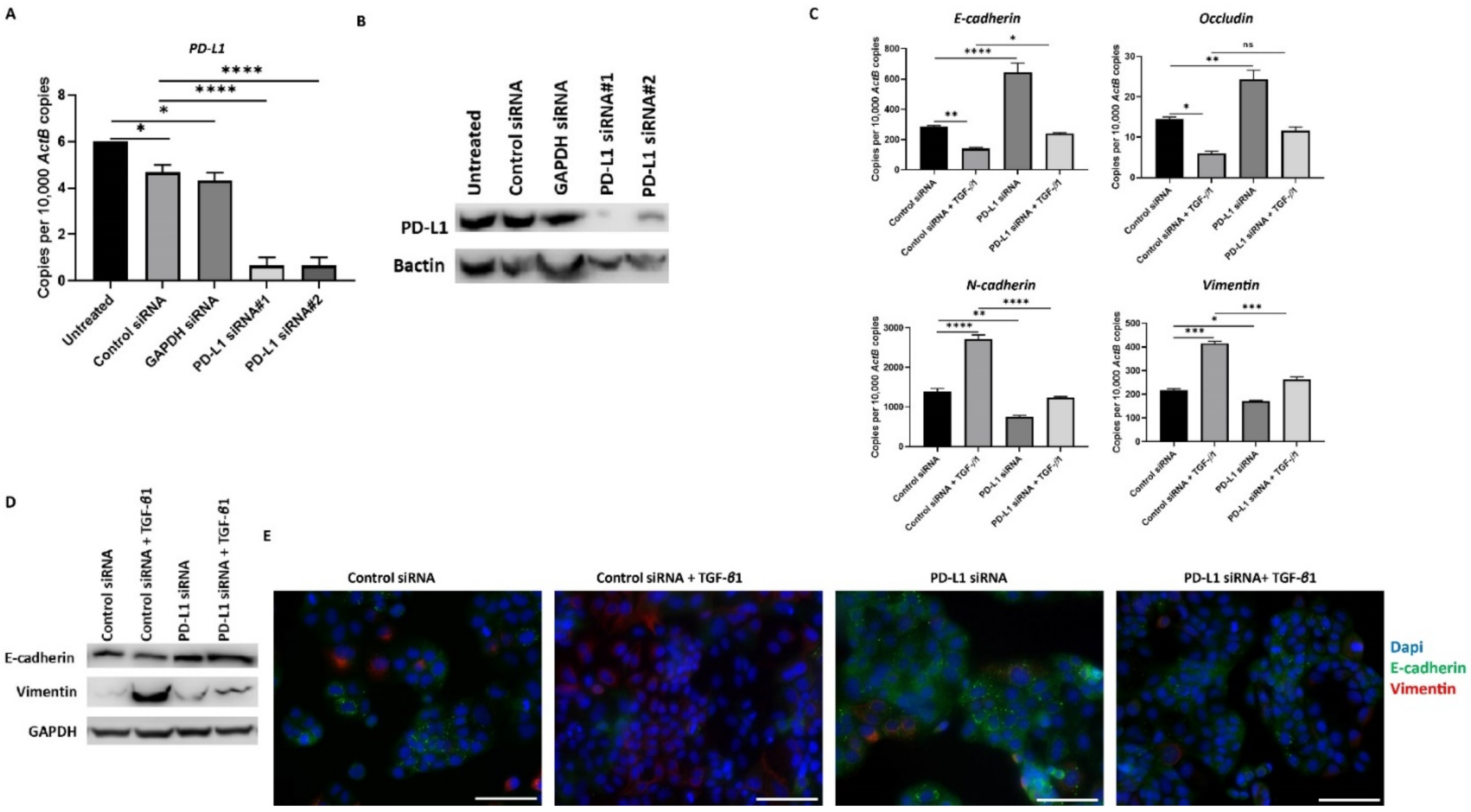 Jcm 10 01889 g006 Jcm 10 01889 g006