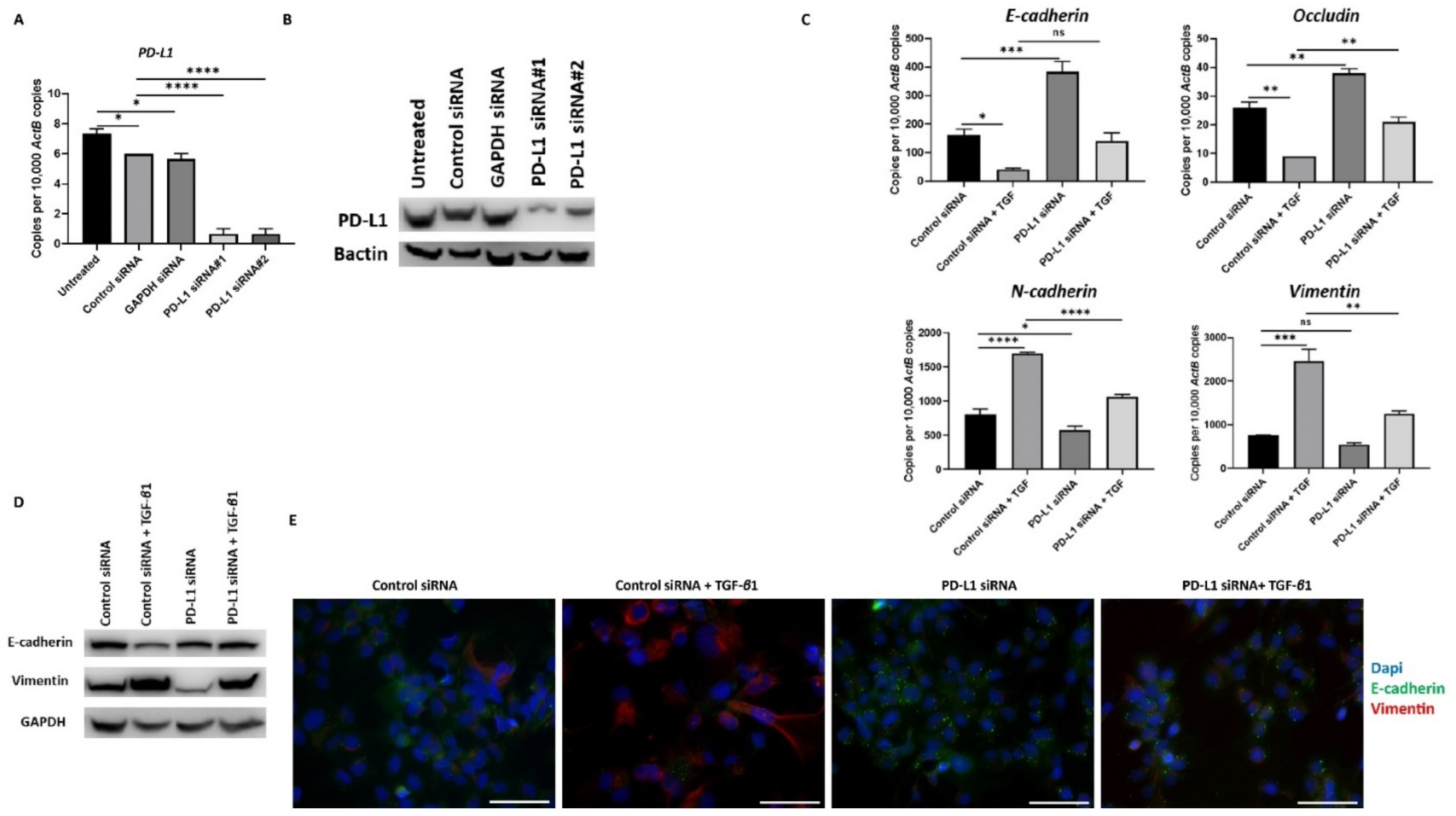 Jcm 10 01889 g007 Jcm 10 01889 g007