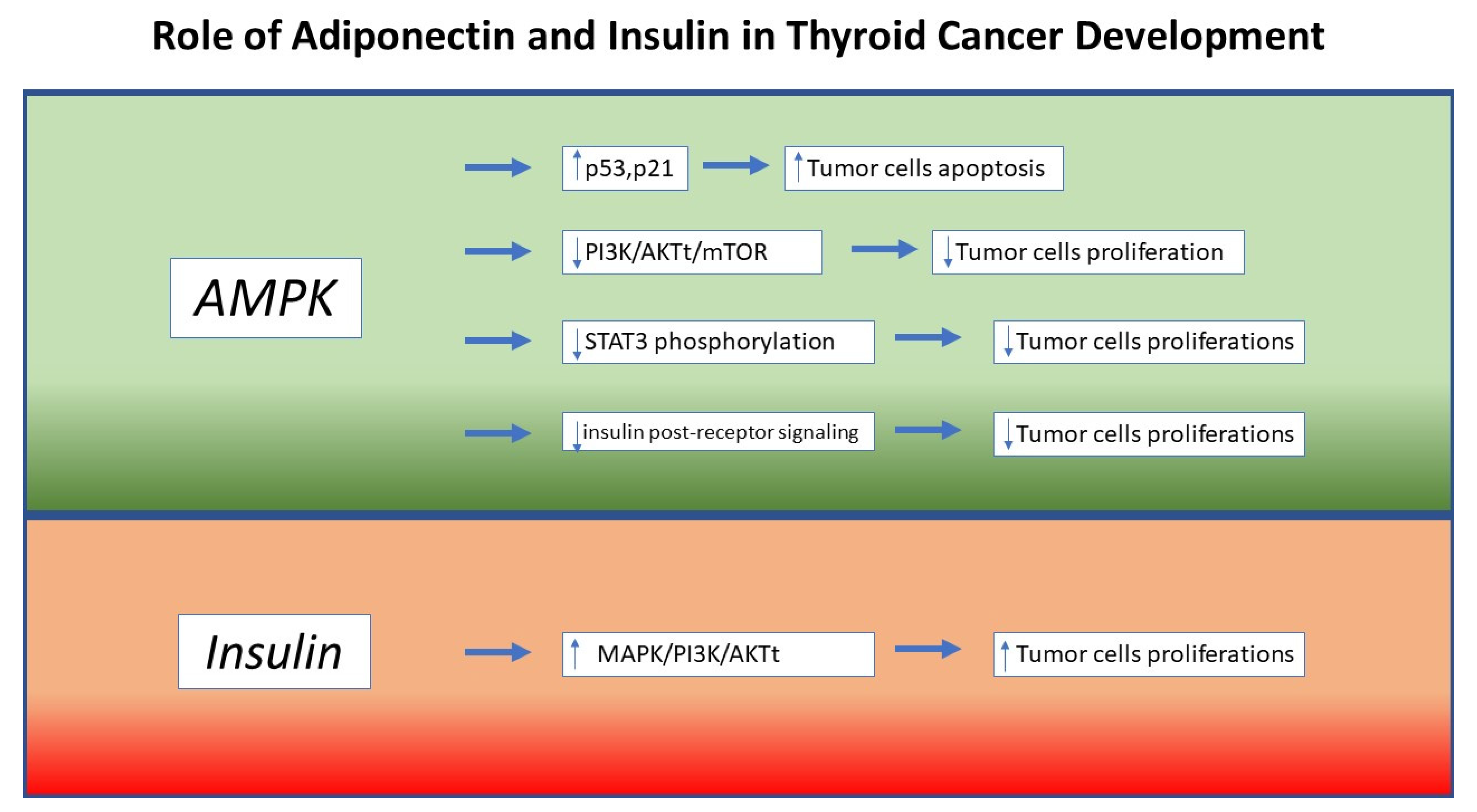 Jcm 10 01894 g001 Jcm 10 01894 g001