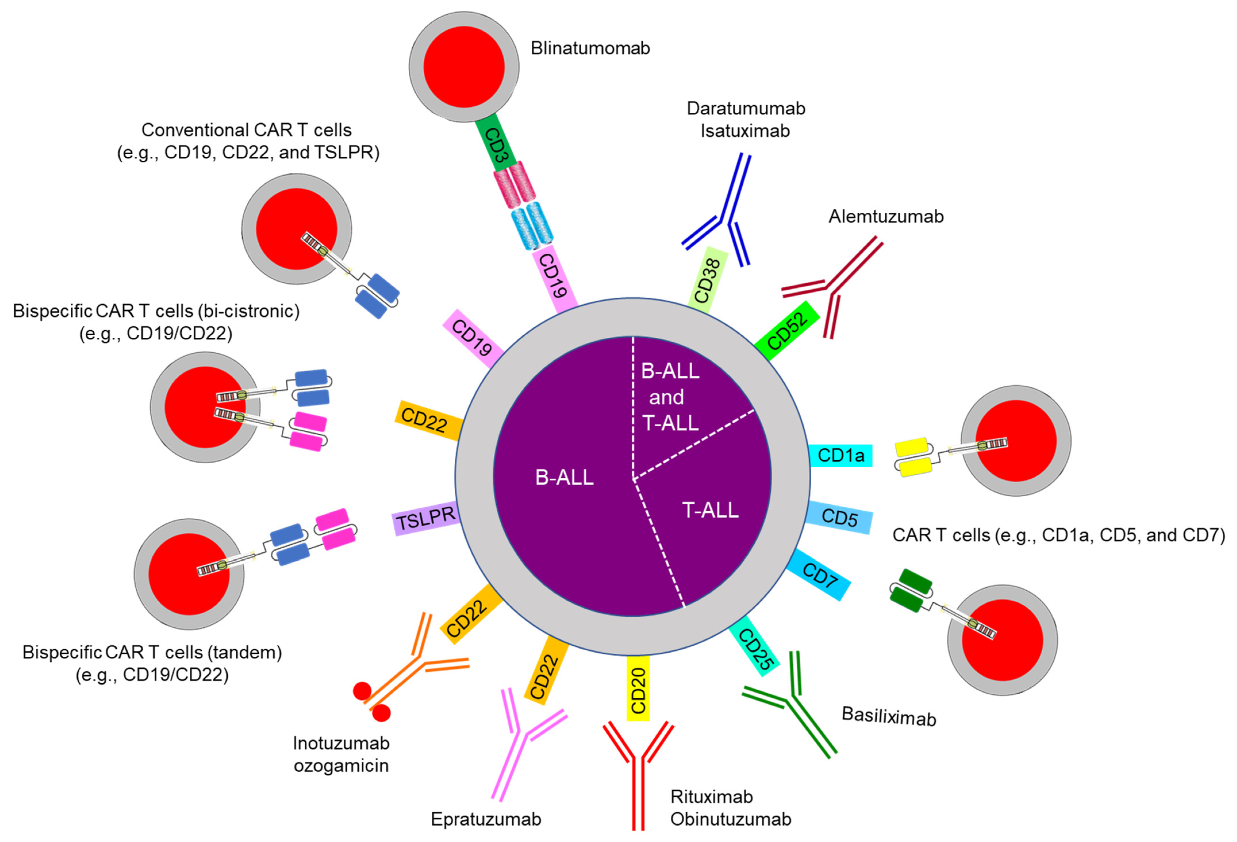 Jcm 10 01926 g003 Jcm 10 01926 g003