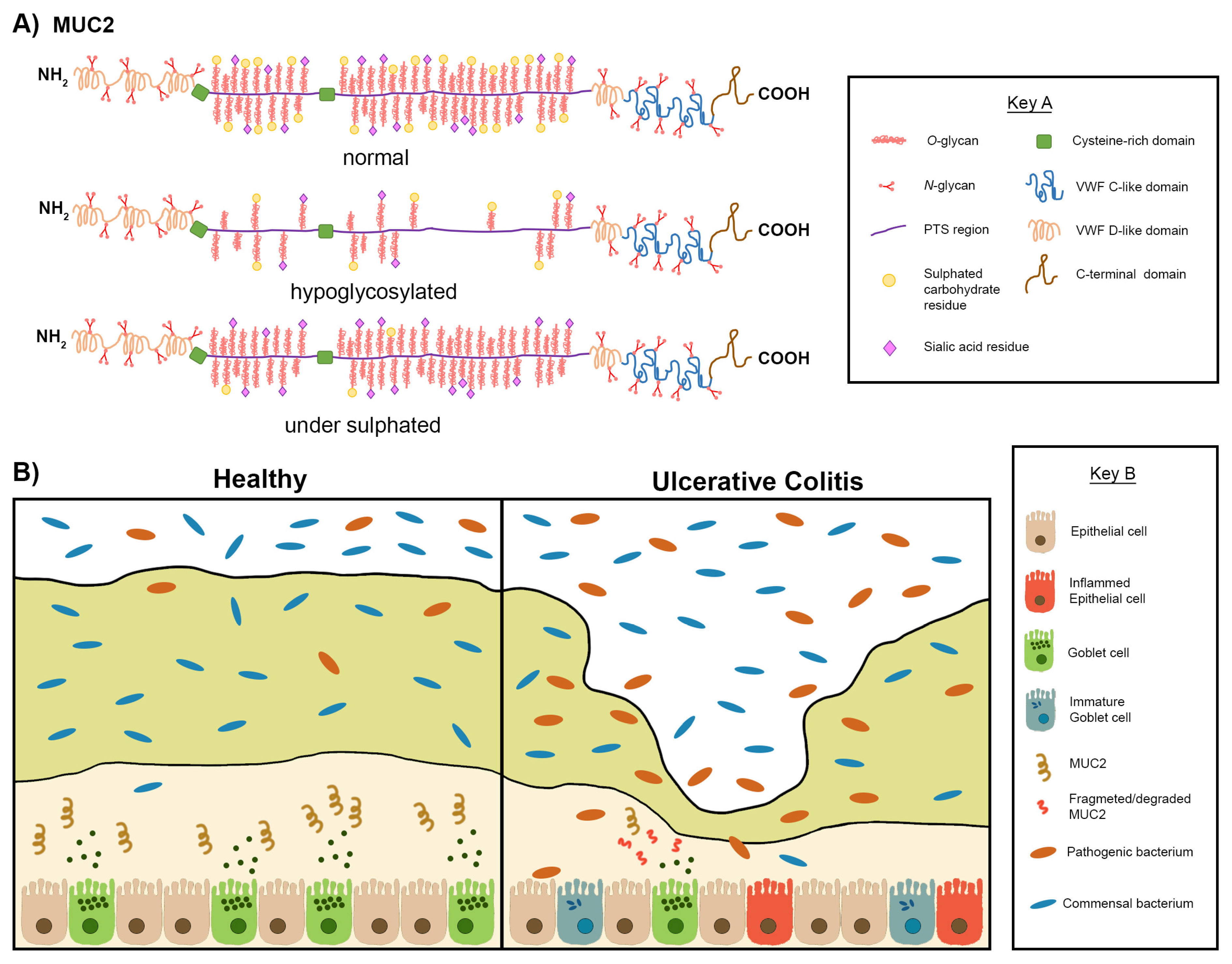 Jcm 10 01935 g005 Jcm 10 01935 g005