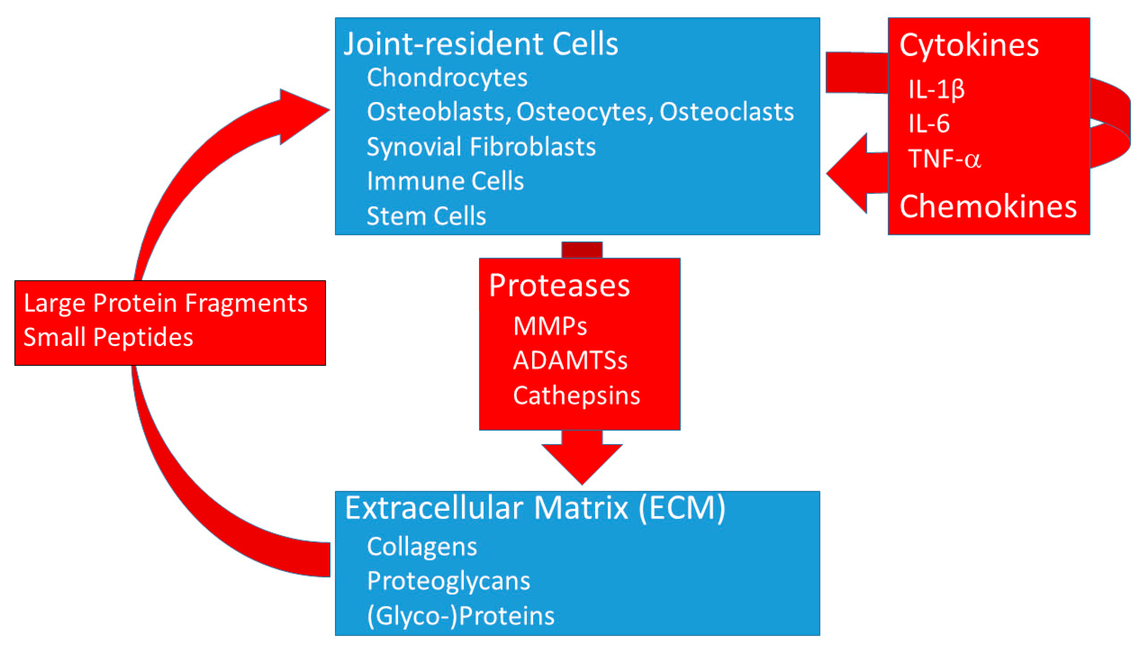 Jcm 10 01938 g002 Jcm 10 01938 g002