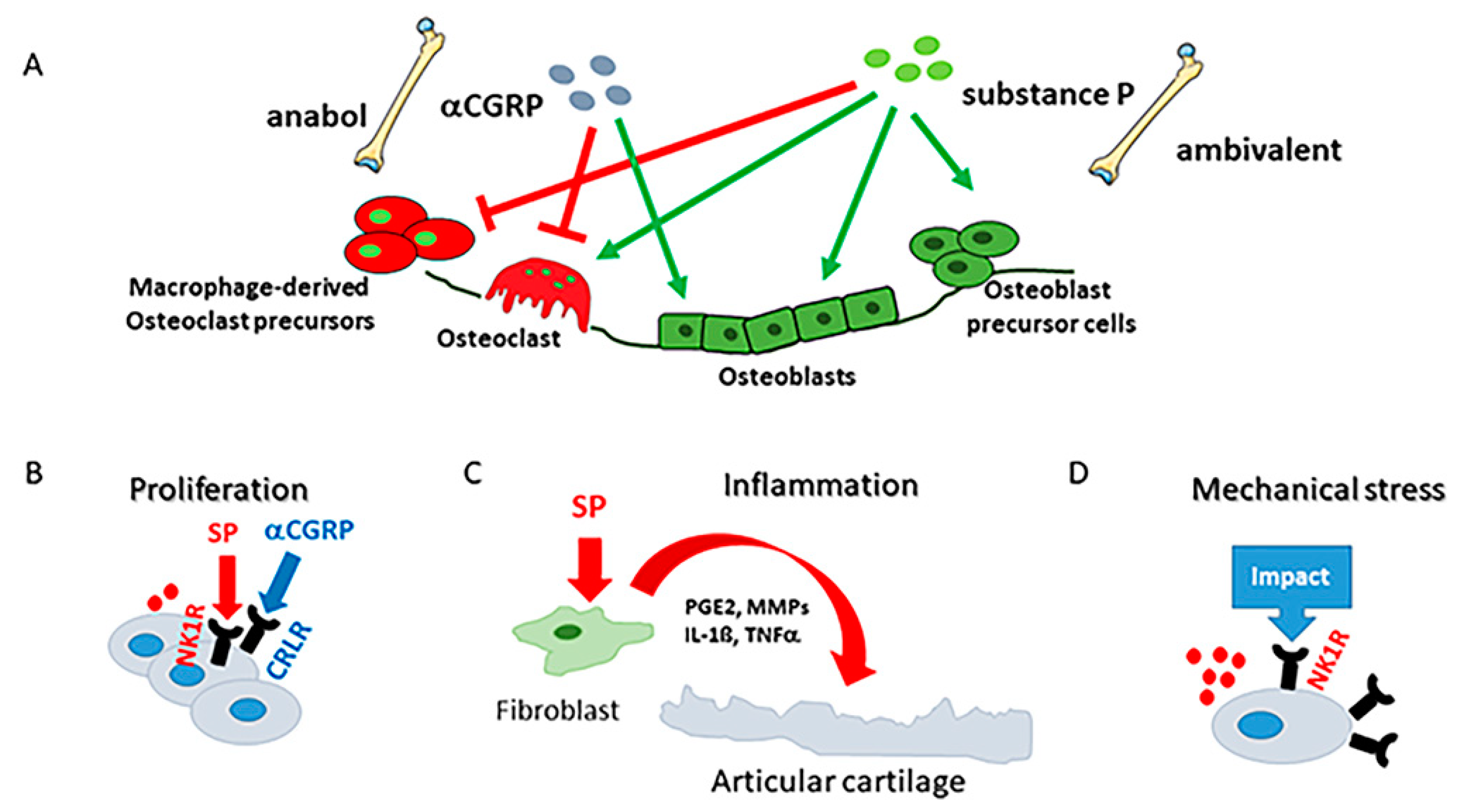 Jcm 10 01938 g003 Jcm 10 01938 g003