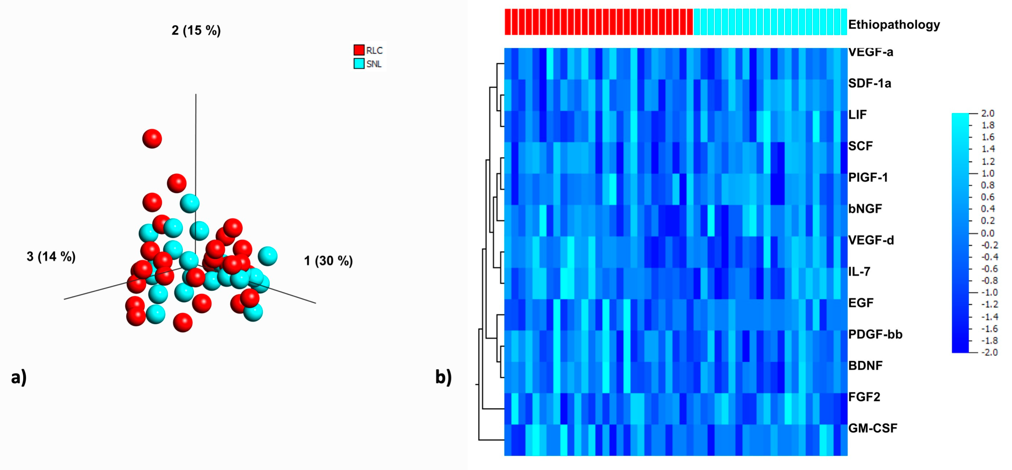 Jcm 10 01978 g003 Jcm 10 01978 g003