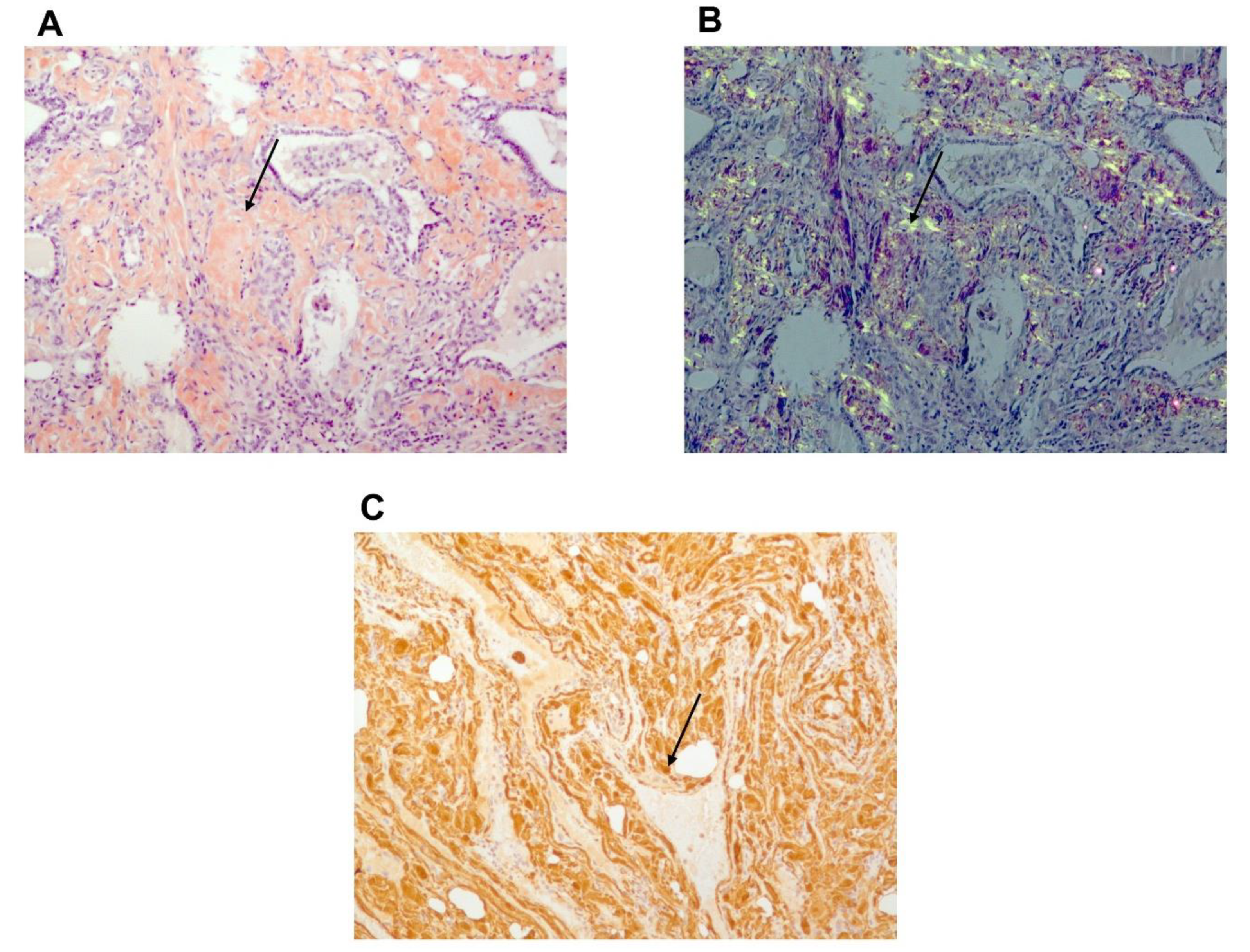 Jcm 10 01983 g006 Jcm 10 01983 g006