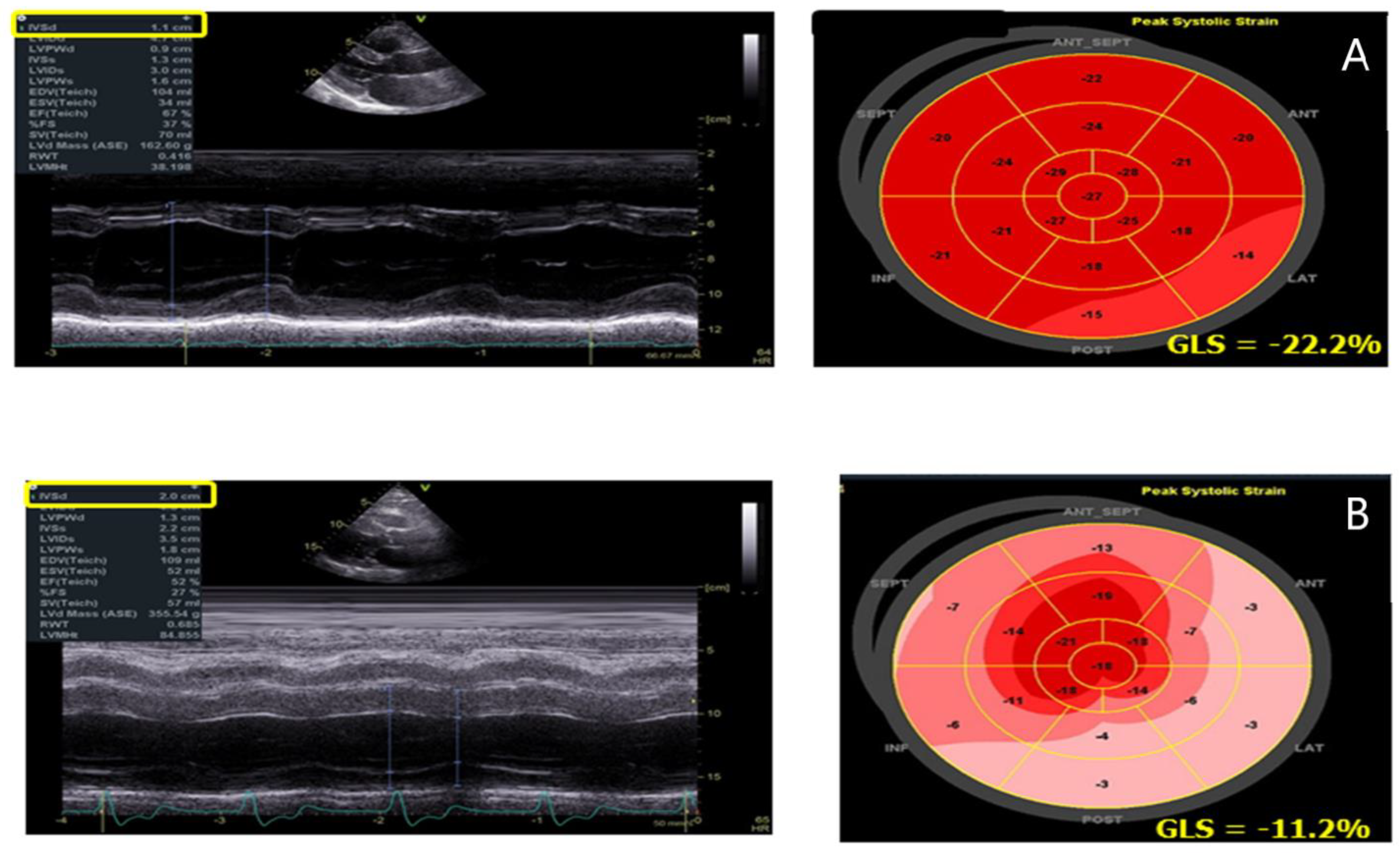 Jcm 10 01994 g004 Jcm 10 01994 g004