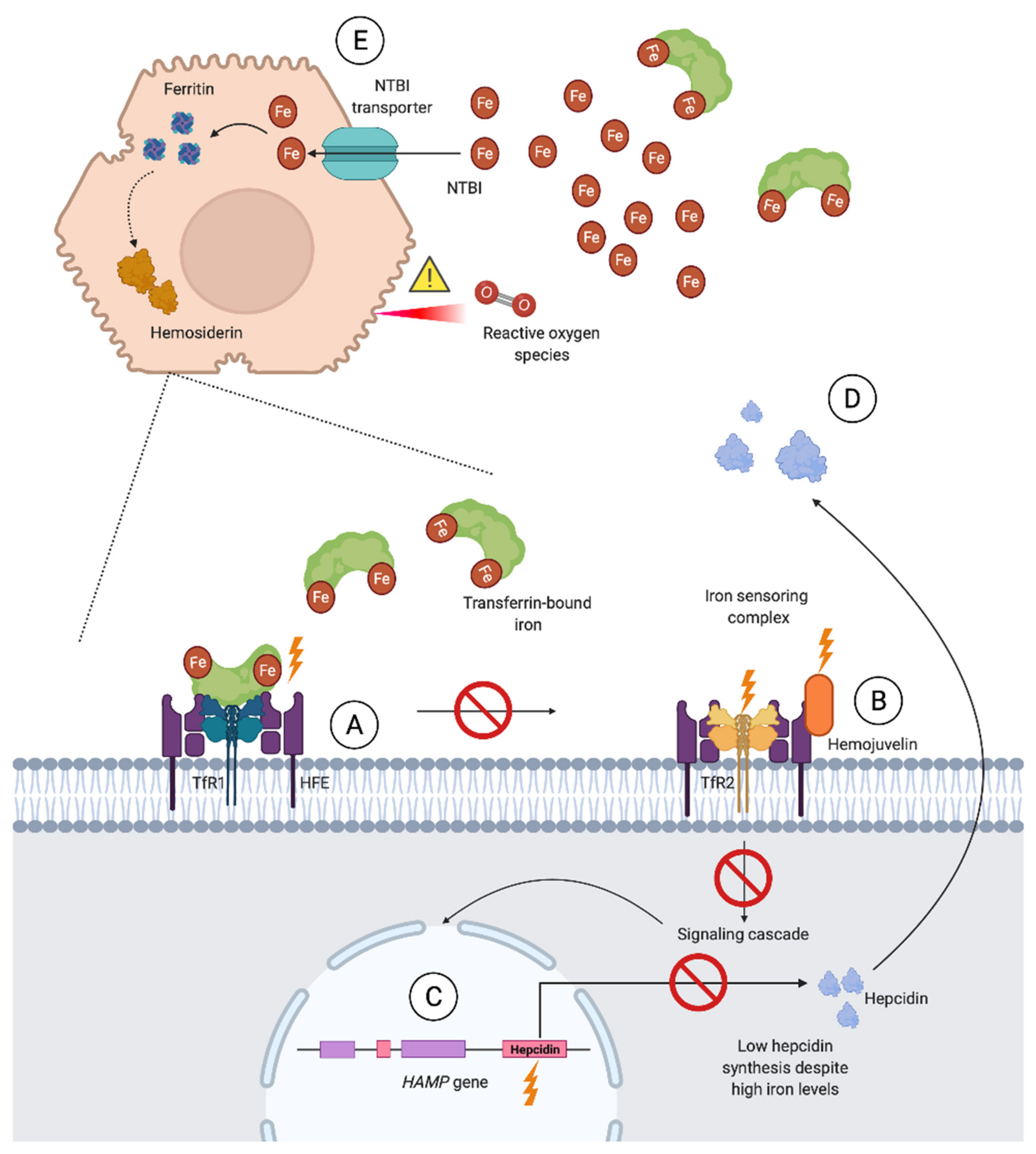 Jcm 10 02008 g003 Jcm 10 02008 g003