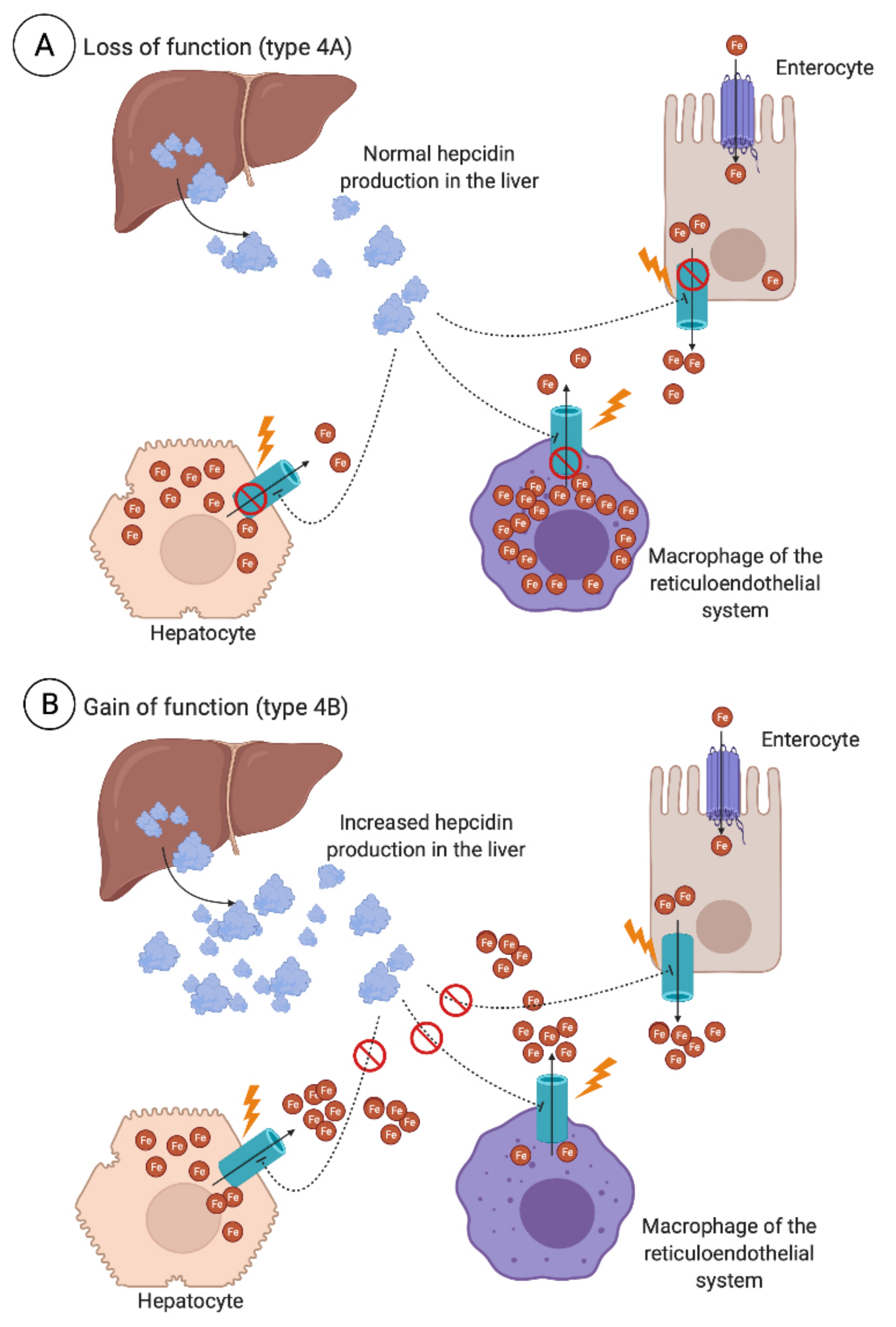 Jcm 10 02008 g004 Jcm 10 02008 g004