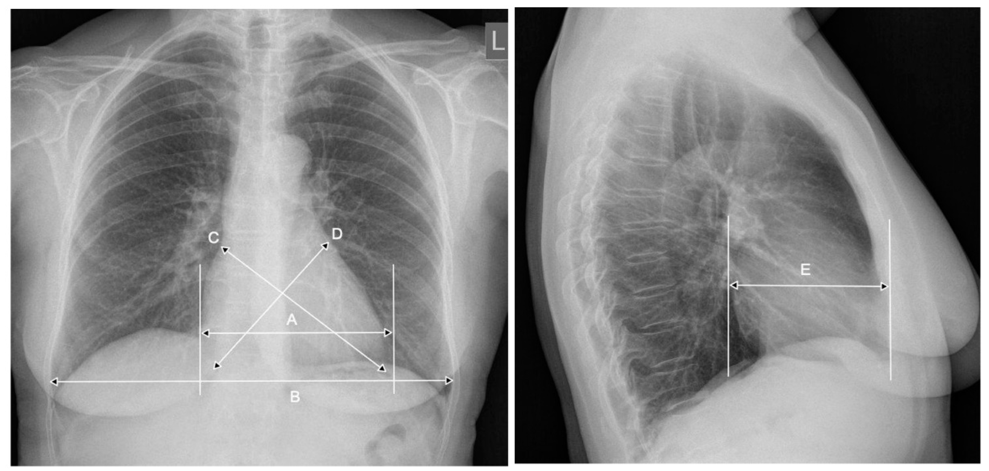 Jcm 10 02016 g002 Jcm 10 02016 g002