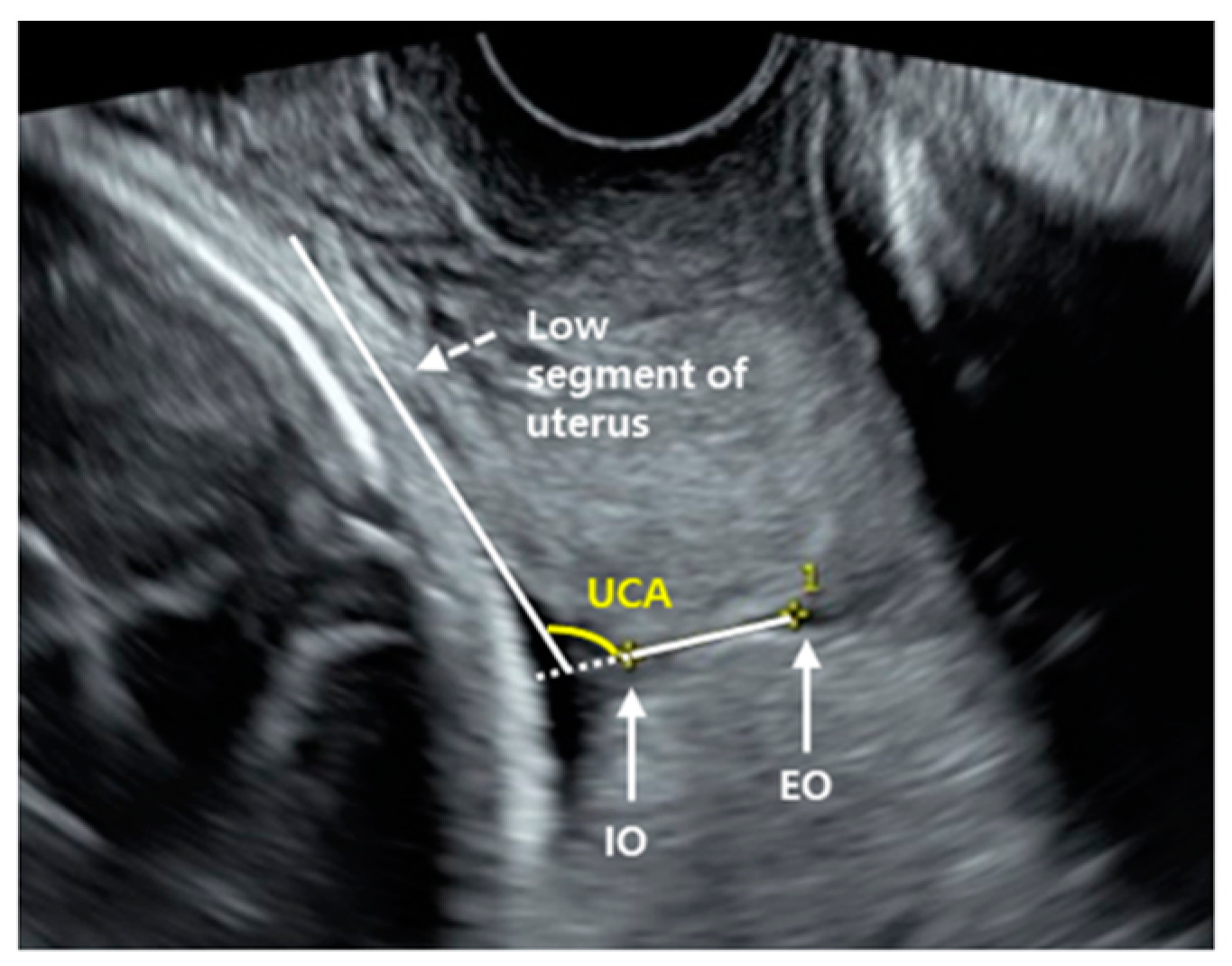 Jcm 10 02033 g001 Jcm 10 02033 g001