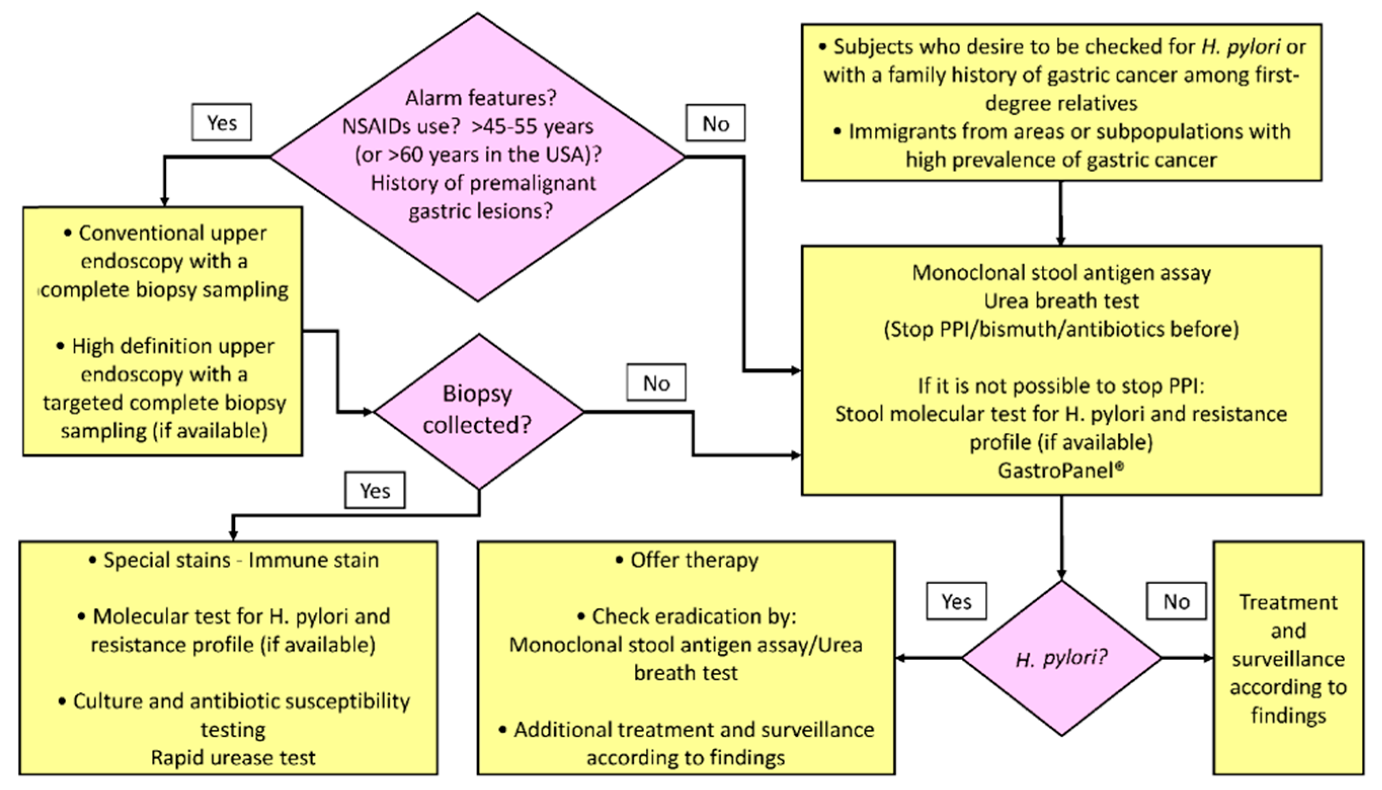 JCM Free FullText What Is New in Helicobacter pylori Diagnosis. An