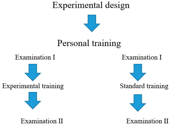 Three types of Masters Athletes – Human Kinetics