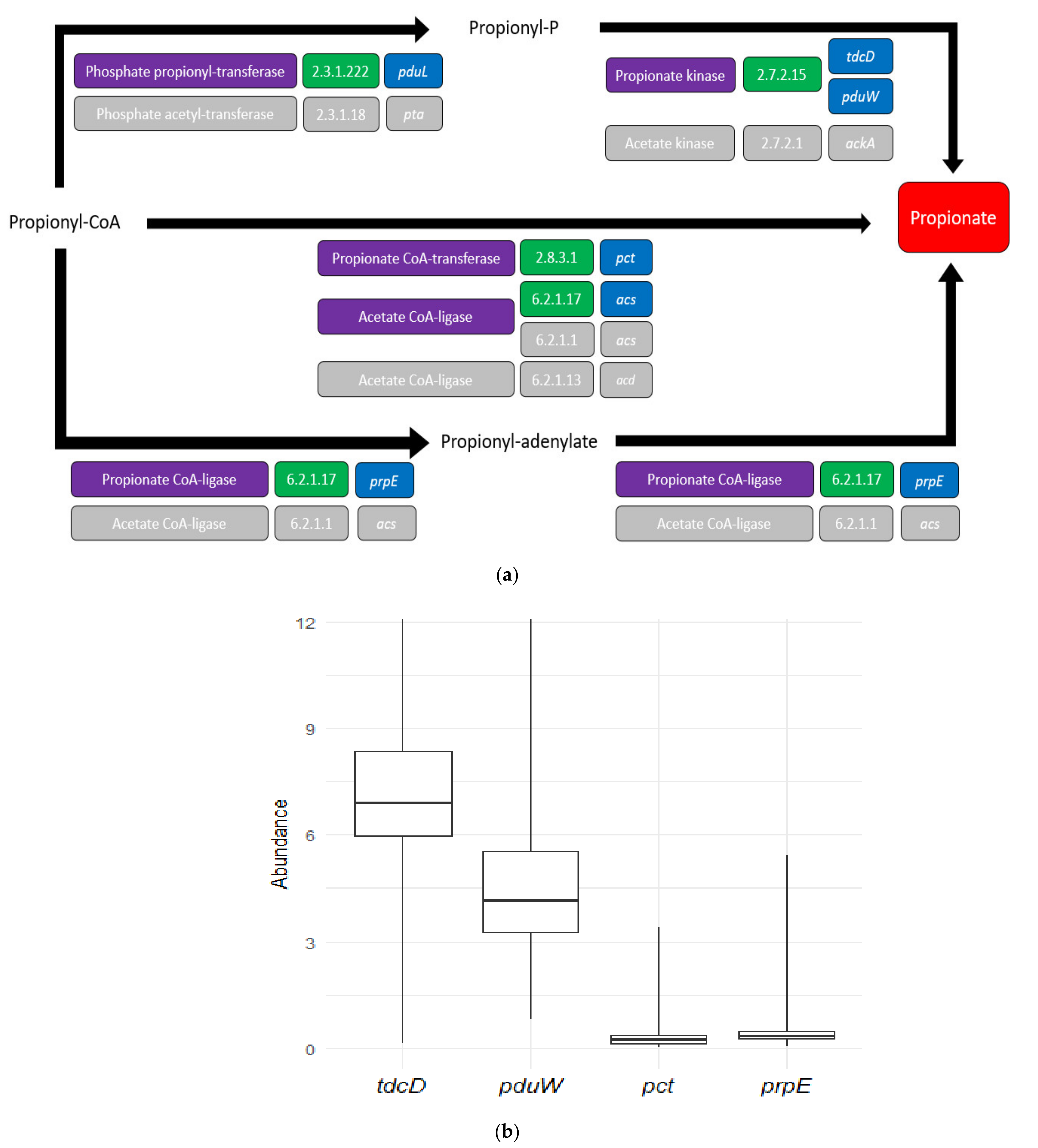 Jcm 10 02176 g002 Jcm 10 02176 g002
