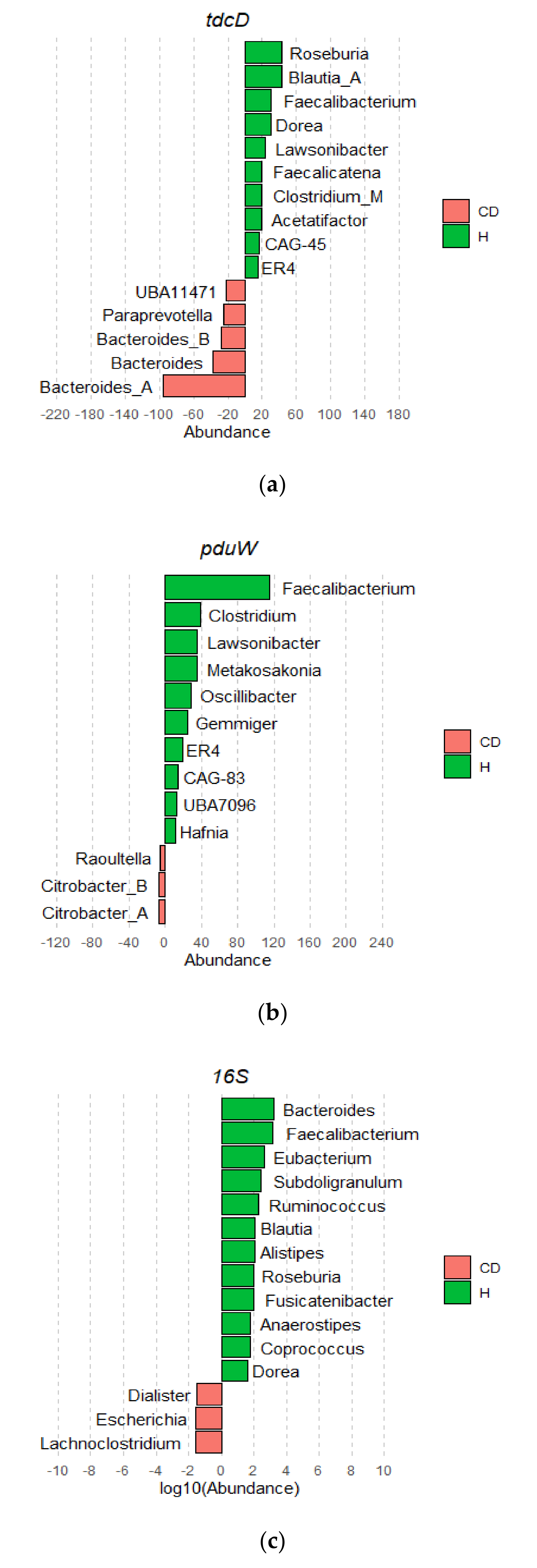 Jcm 10 02176 g004 Jcm 10 02176 g004
