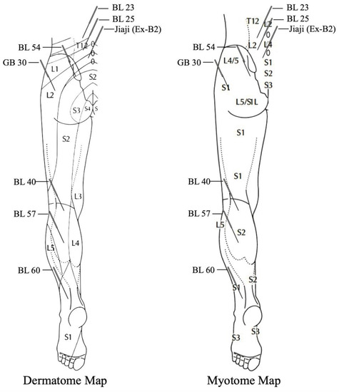 ryu Effect of Si Content on Phase Structure, Microstructure, and