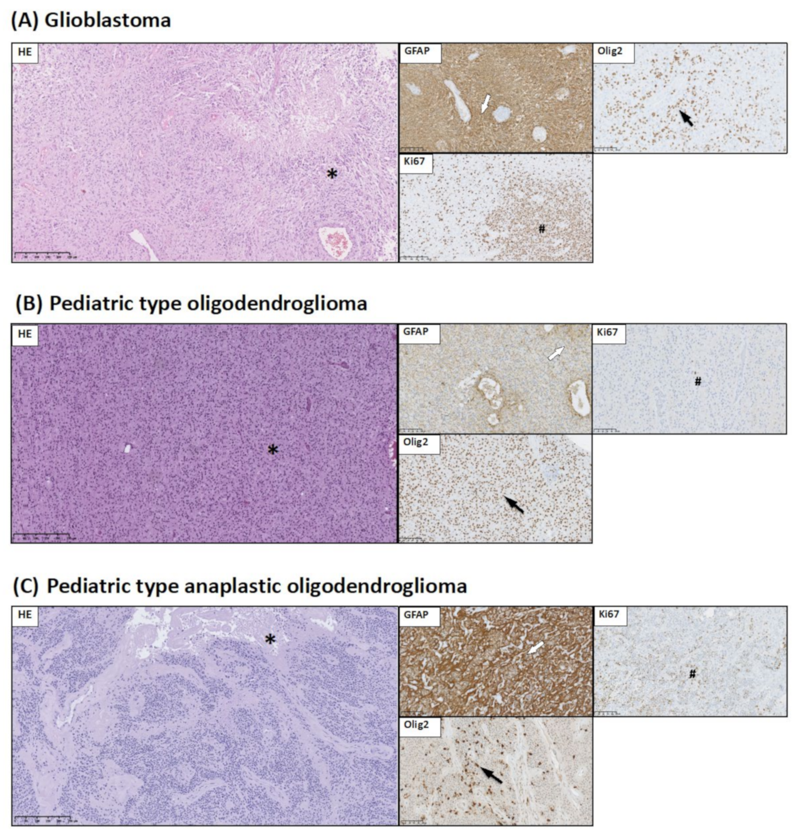 Jcm 10 02219 g002 Jcm 10 02219 g002