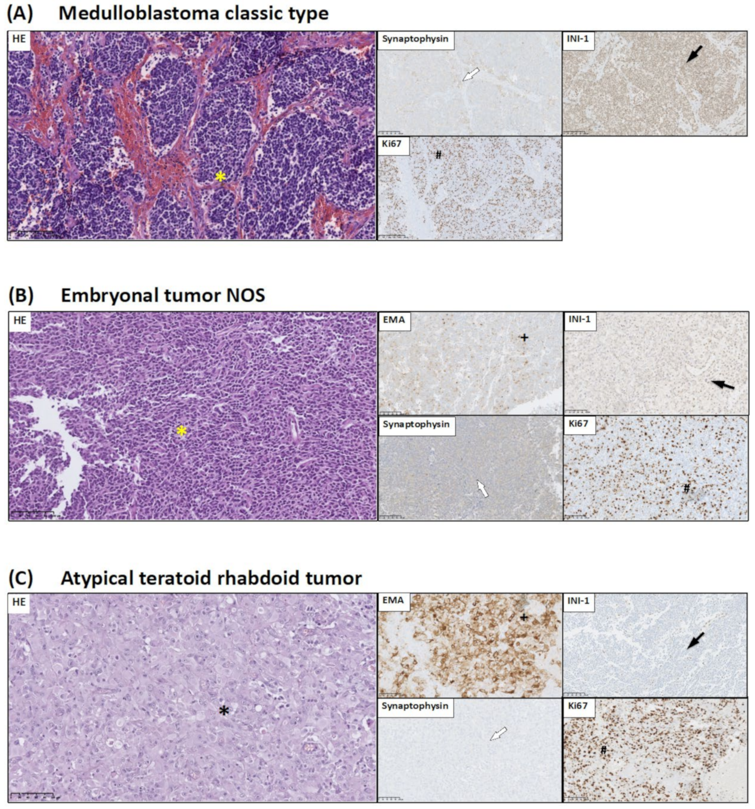 Jcm 10 02219 g003 Jcm 10 02219 g003