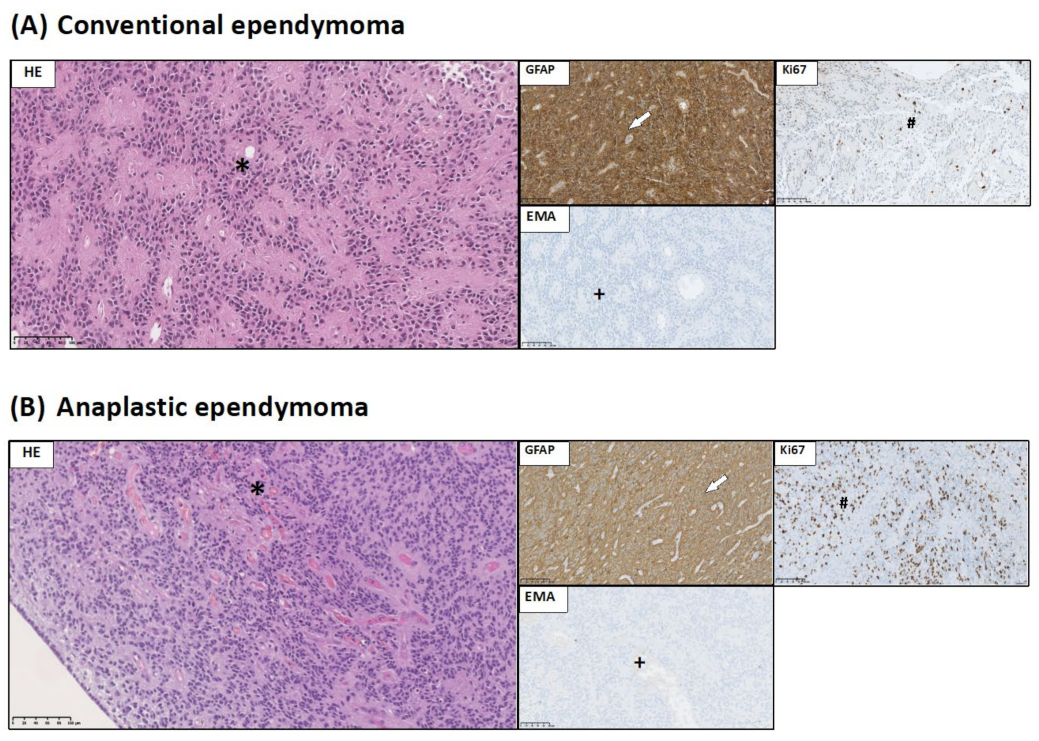 Jcm 10 02219 g004 Jcm 10 02219 g004