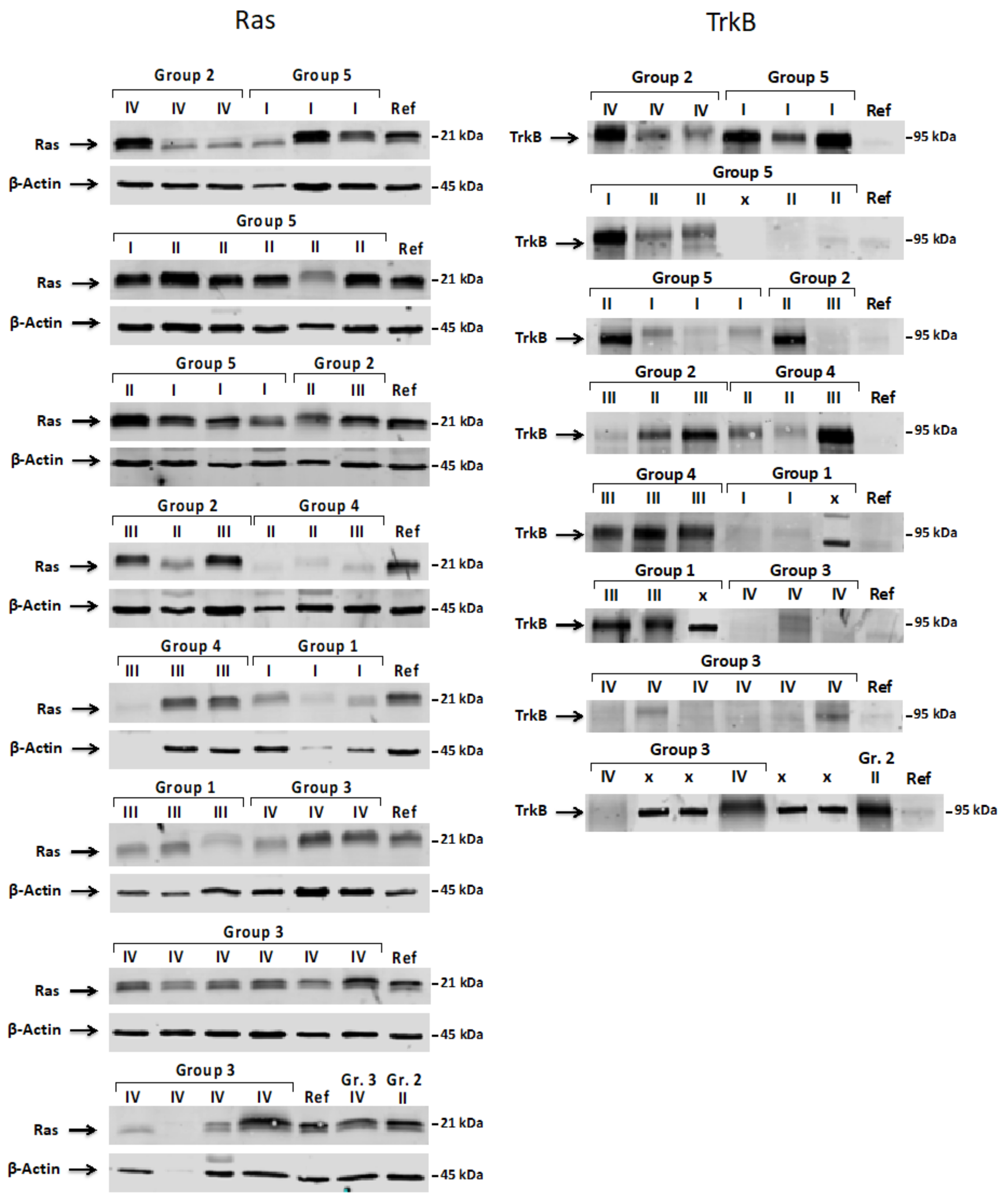 Jcm 10 02219 g007 Jcm 10 02219 g007