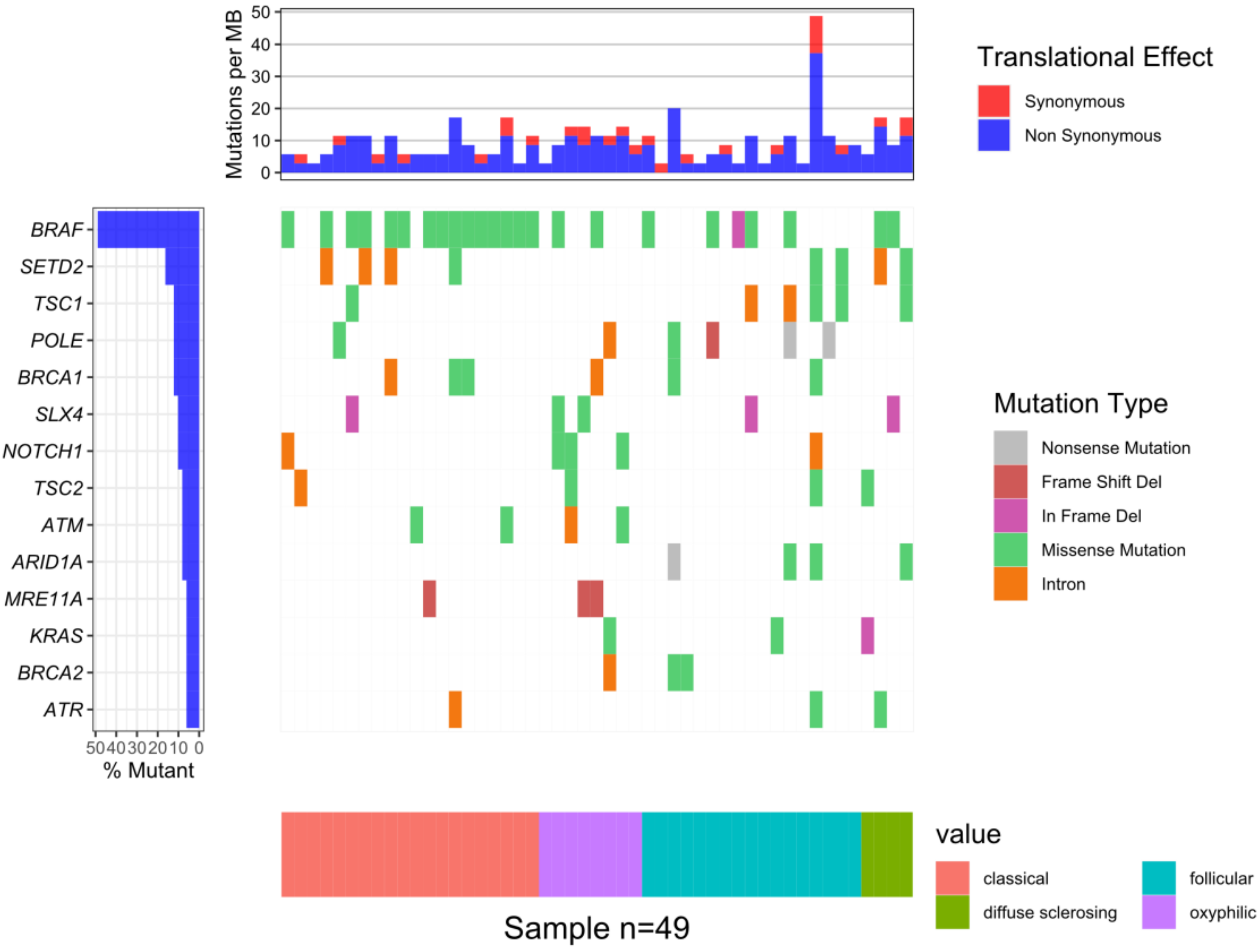 Jcm 10 02304 g001 Jcm 10 02304 g001