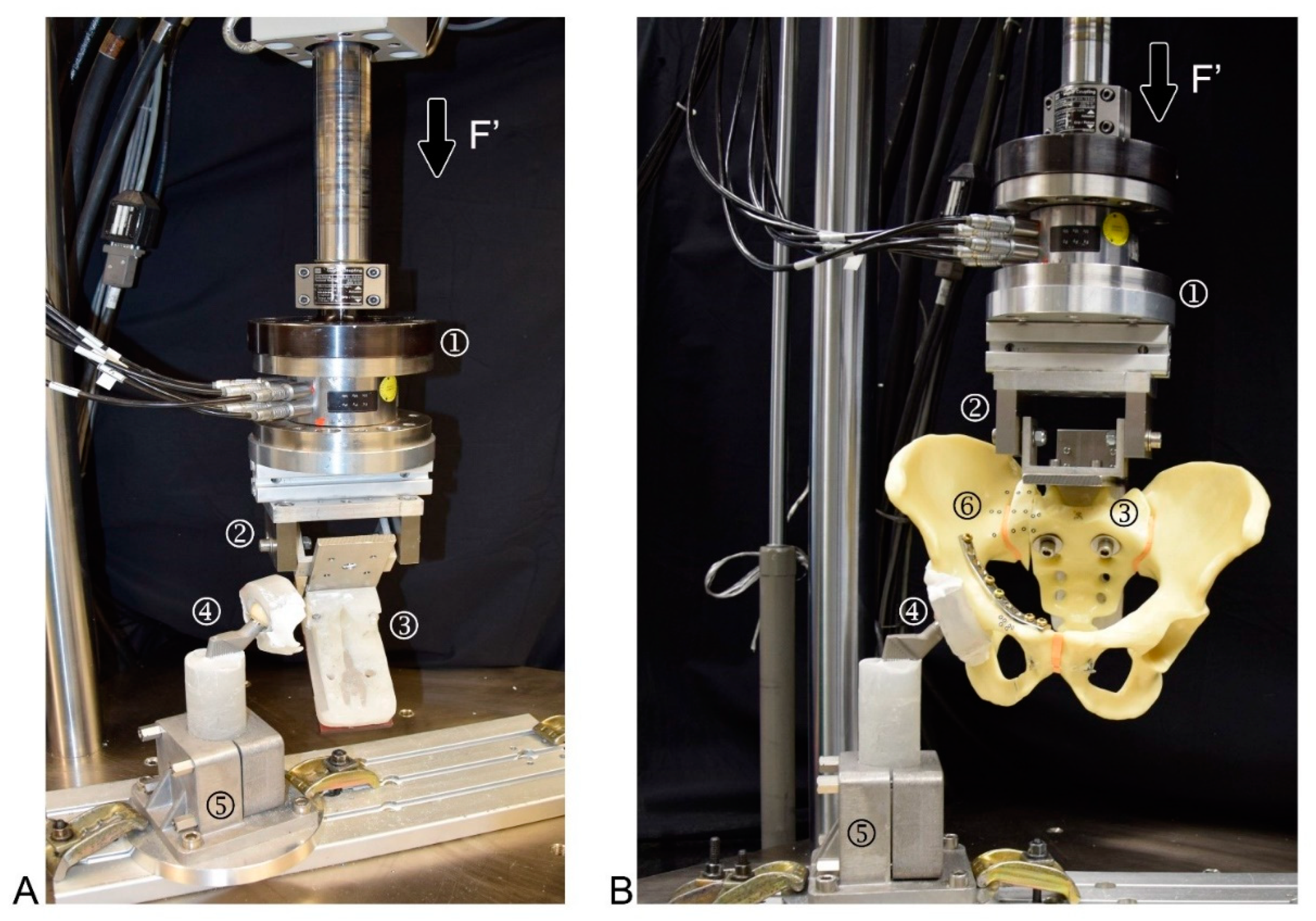 Jcm 10 02326 g004 Jcm 10 02326 g004