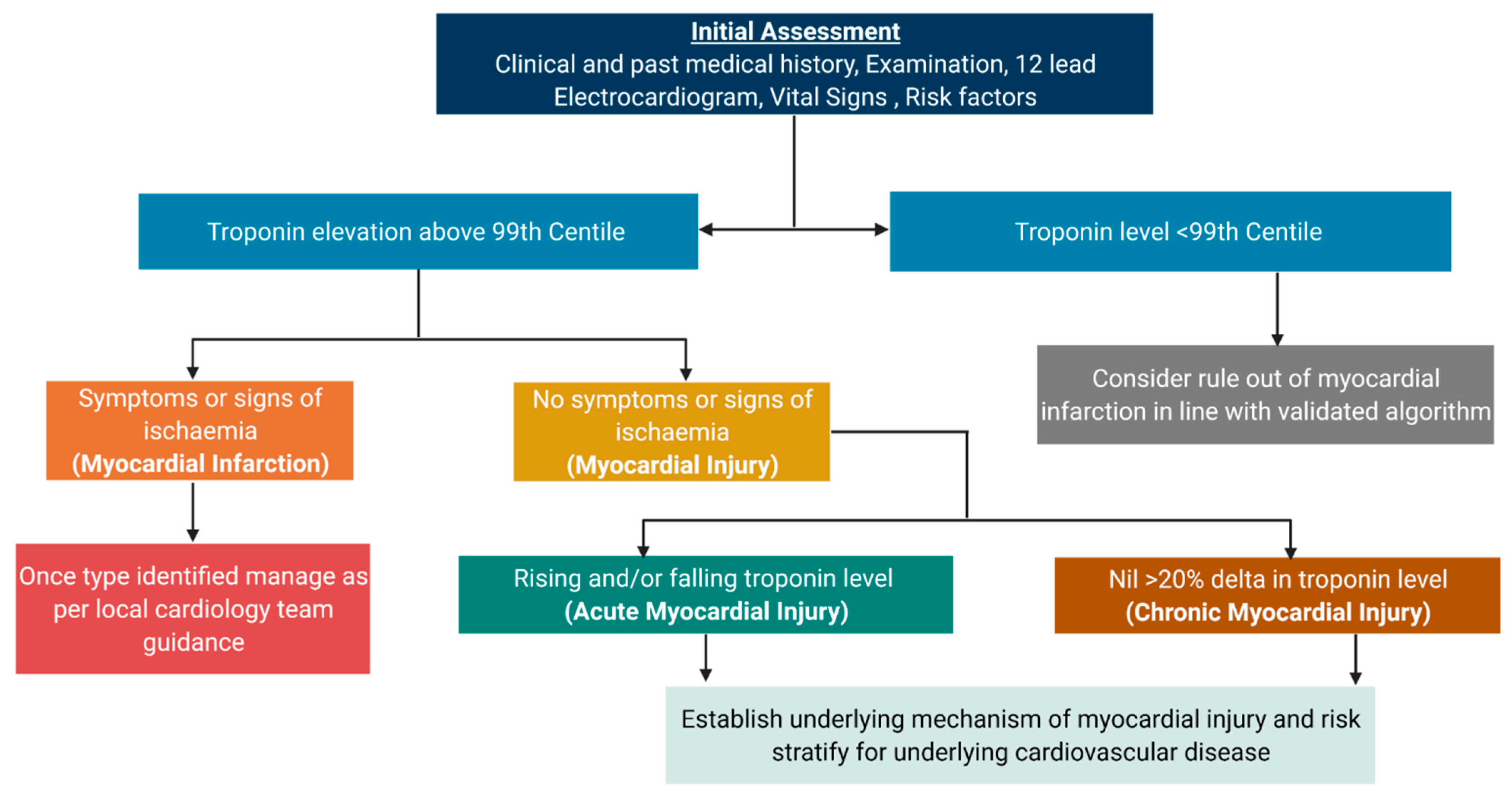 Myocardial Infarction Icd 10 Codes: A Complete History - gpri9az