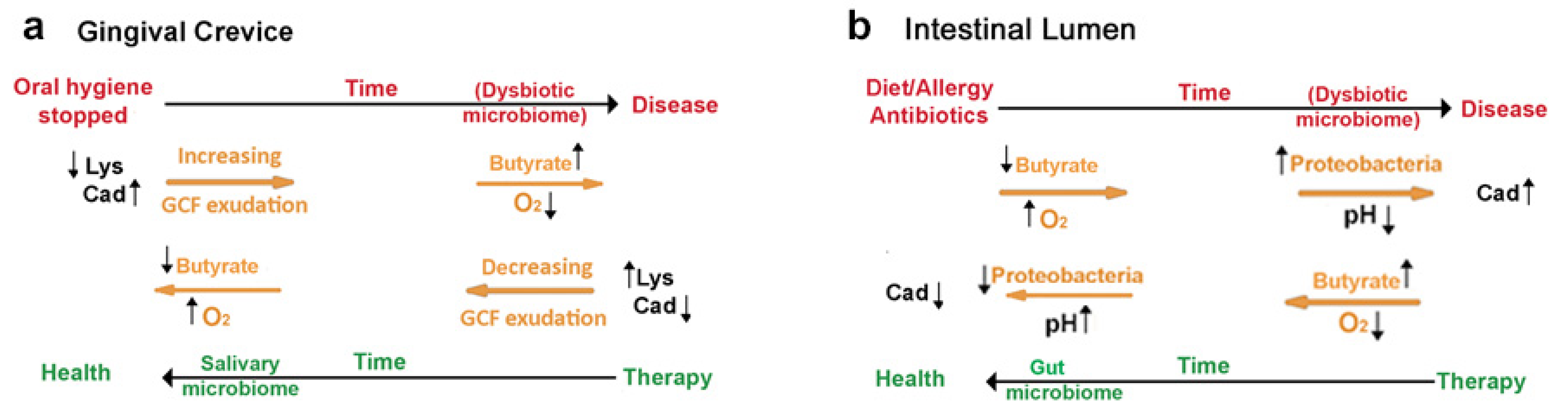 Jcm 10 02360 g001 Jcm 10 02360 g001