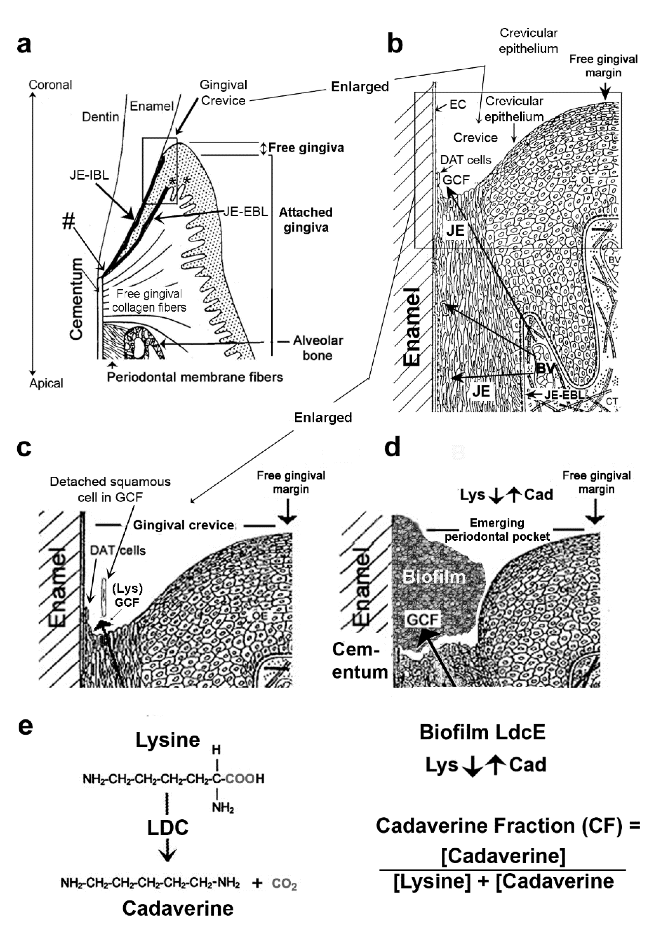 Jcm 10 02360 g003 Jcm 10 02360 g003