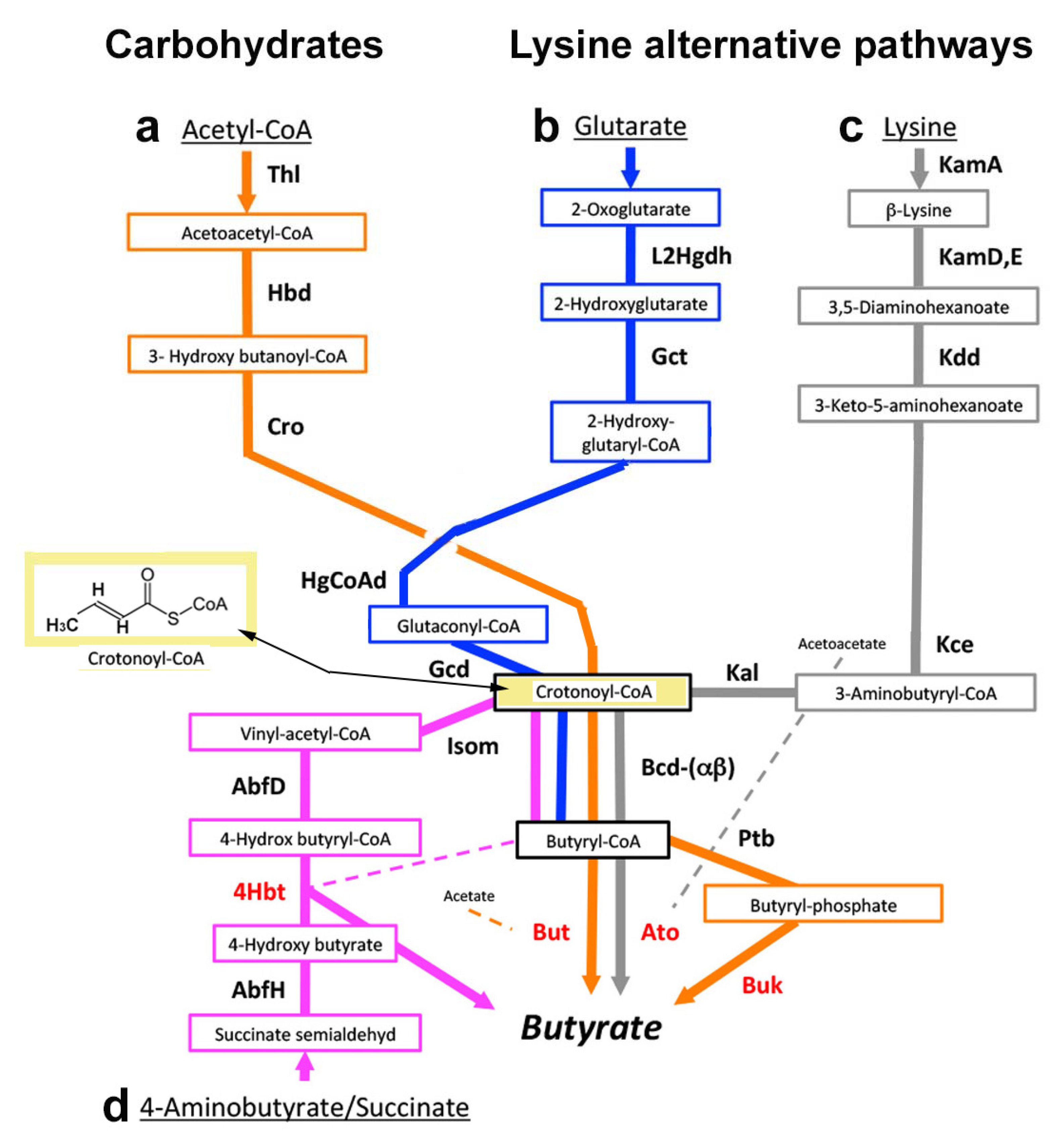 Jcm 10 02360 g005 Jcm 10 02360 g005