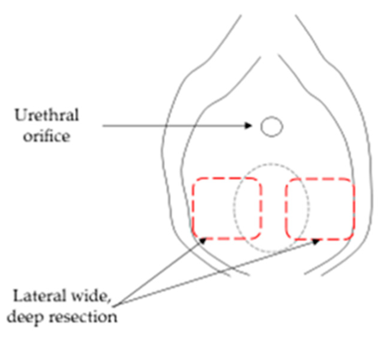 Jcm 10 02414 g003 Jcm 10 02414 g003