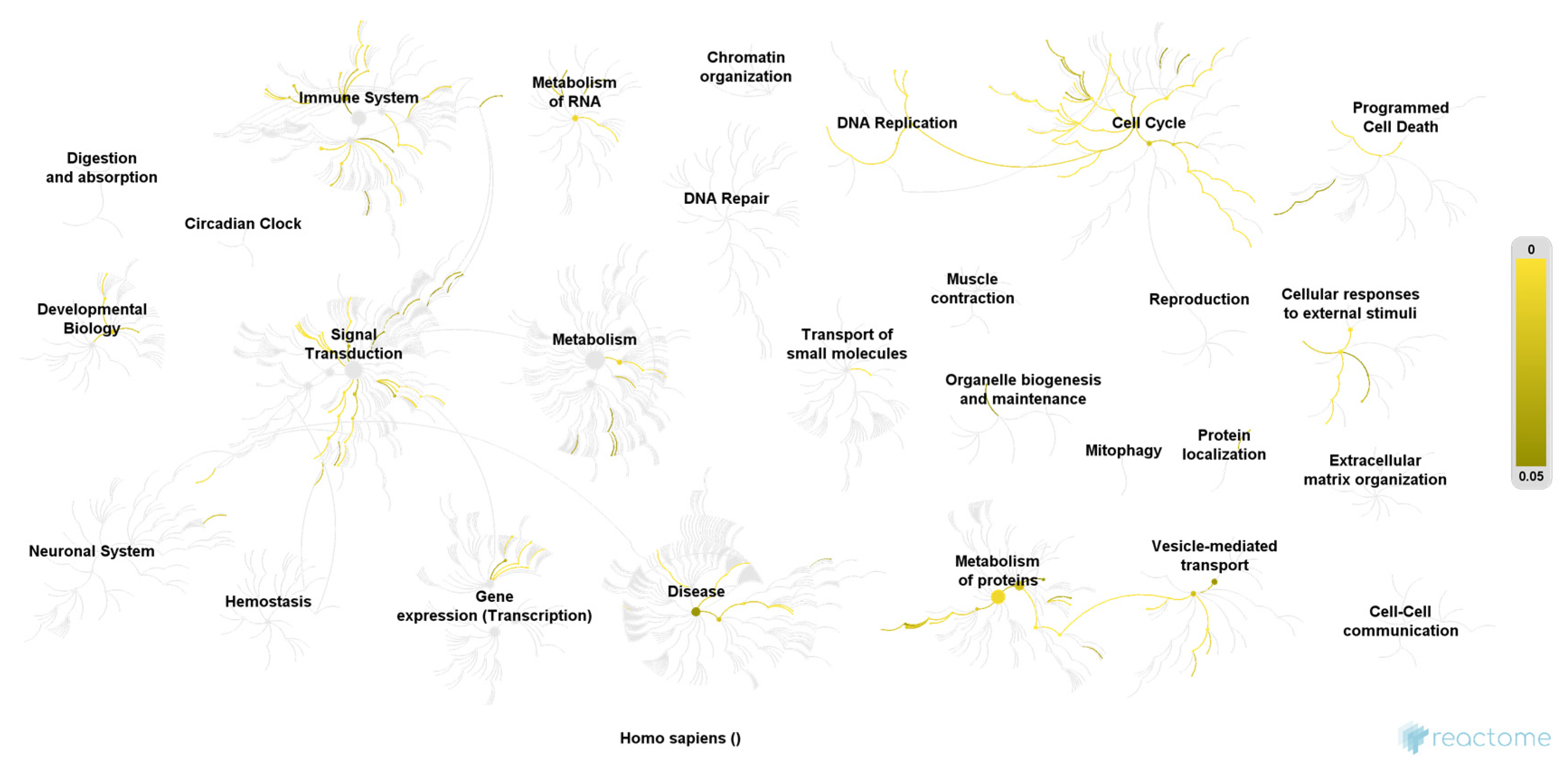 Jcm 10 02446 g001 Jcm 10 02446 g001