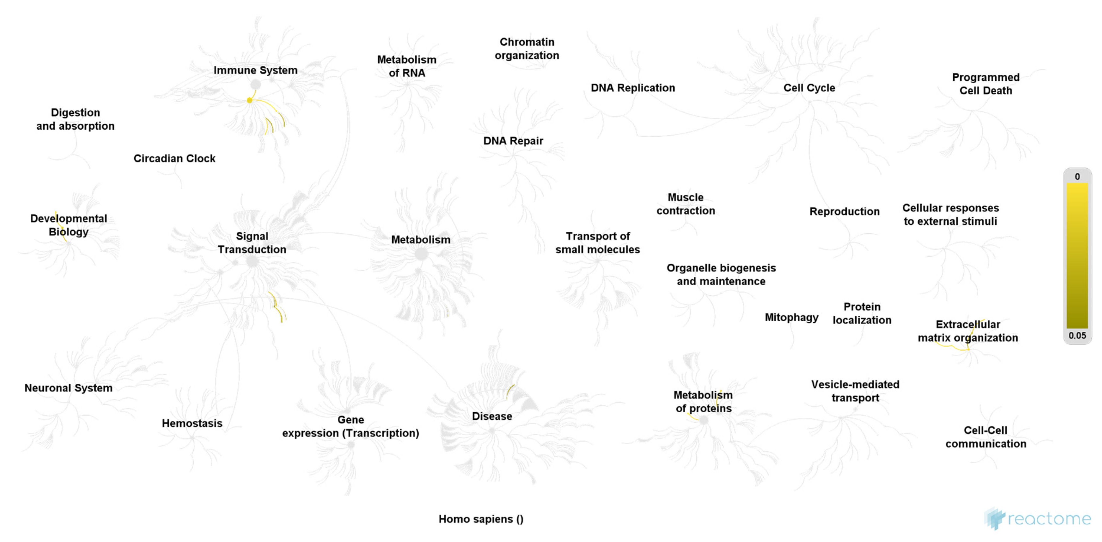Jcm 10 02446 g002 Jcm 10 02446 g002