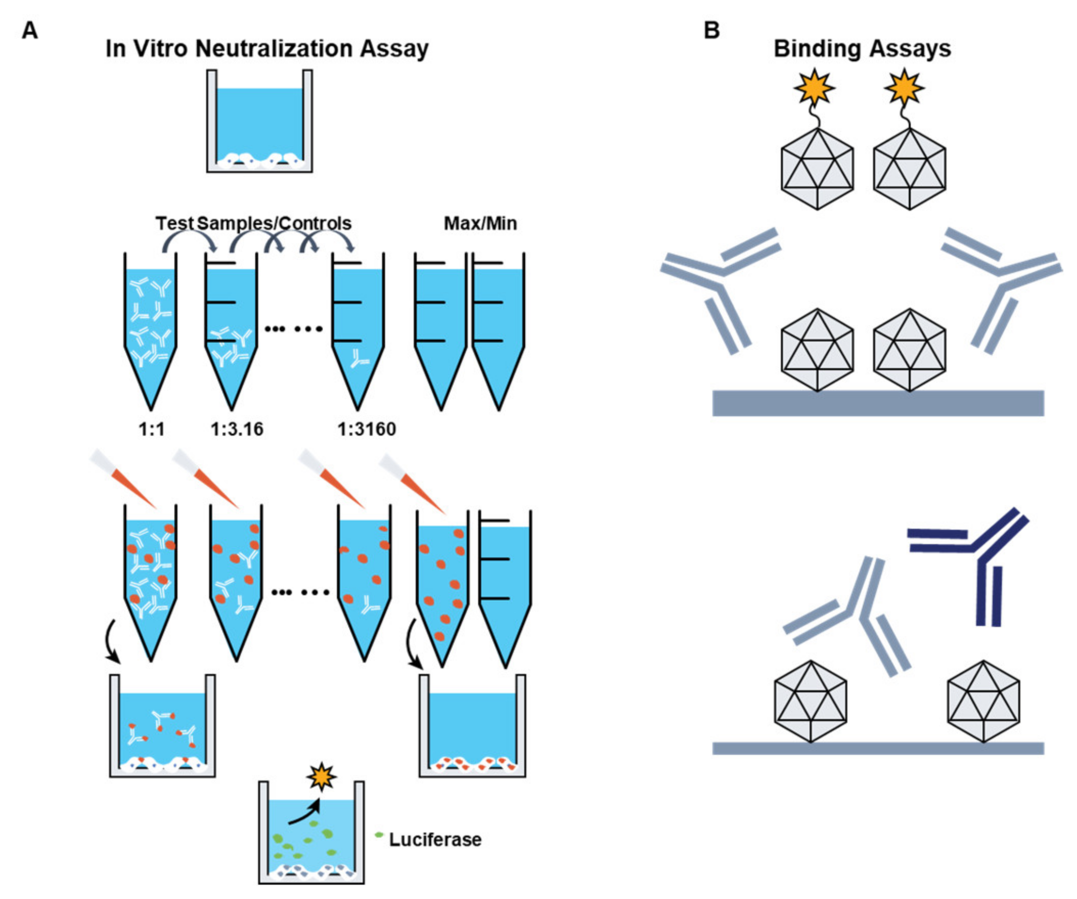Jcm 10 02471 g004 Jcm 10 02471 g004