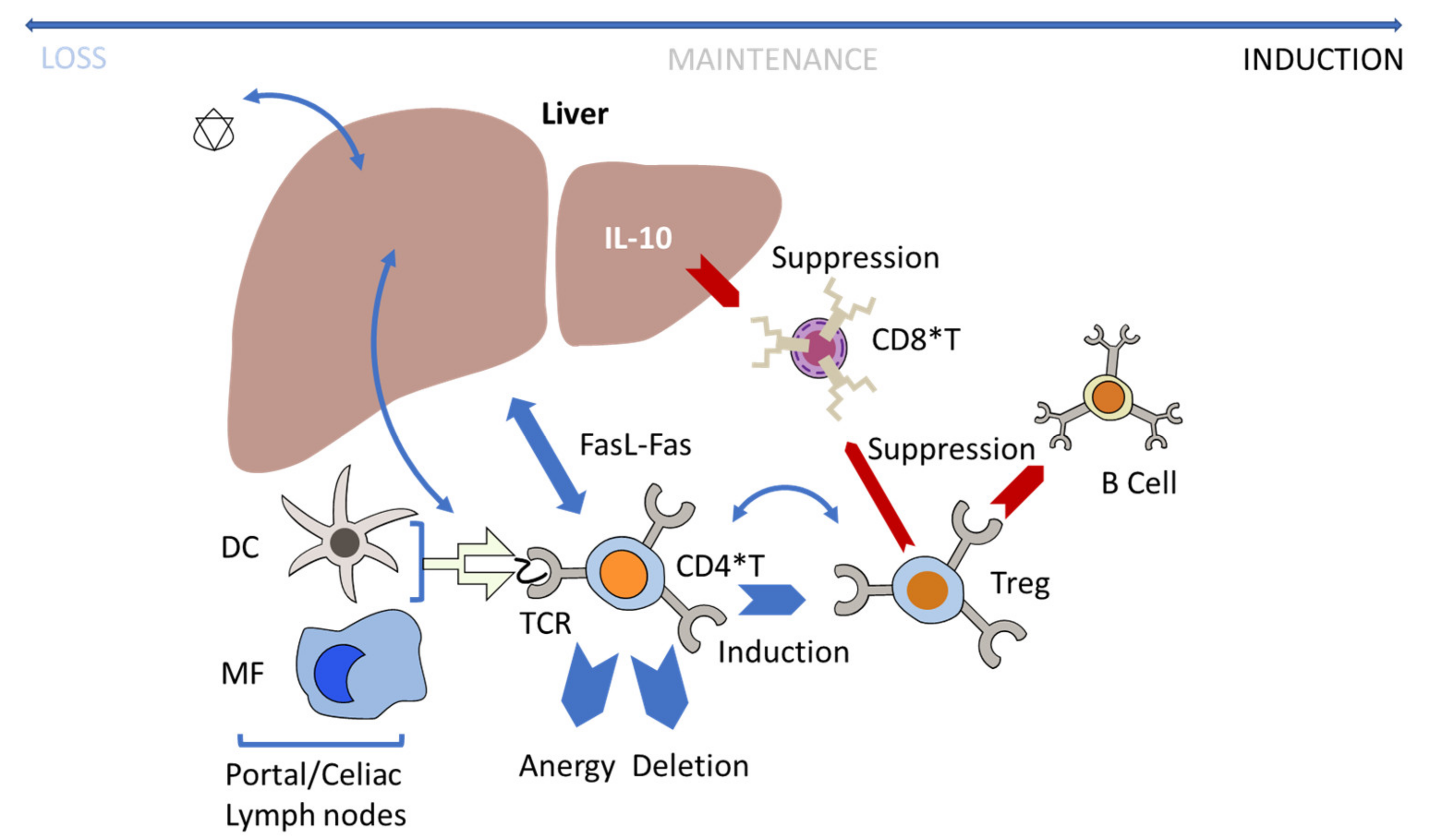 Jcm 10 02471 g006 Jcm 10 02471 g006