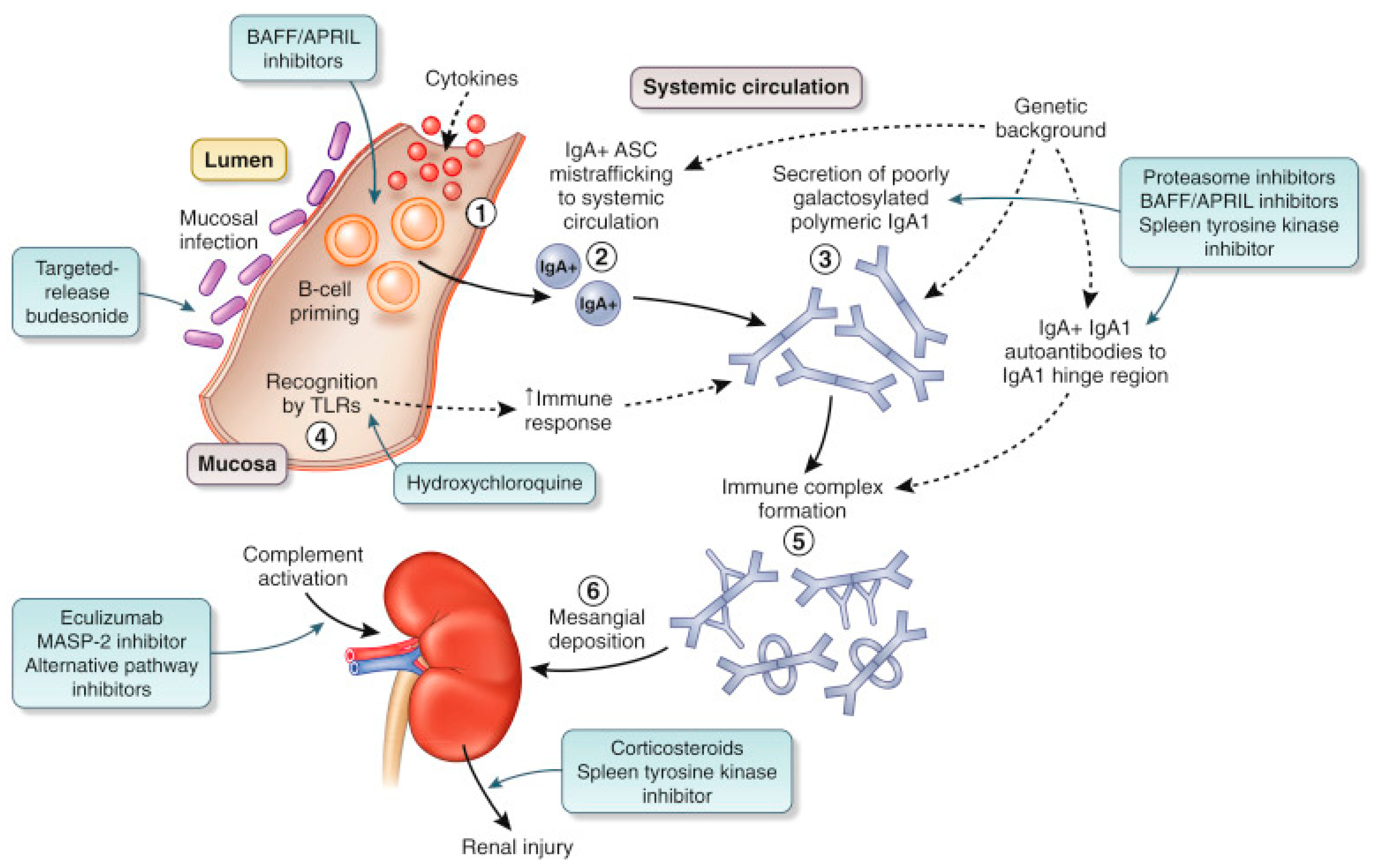 Jcm 10 02493 g001 Jcm 10 02493 g001