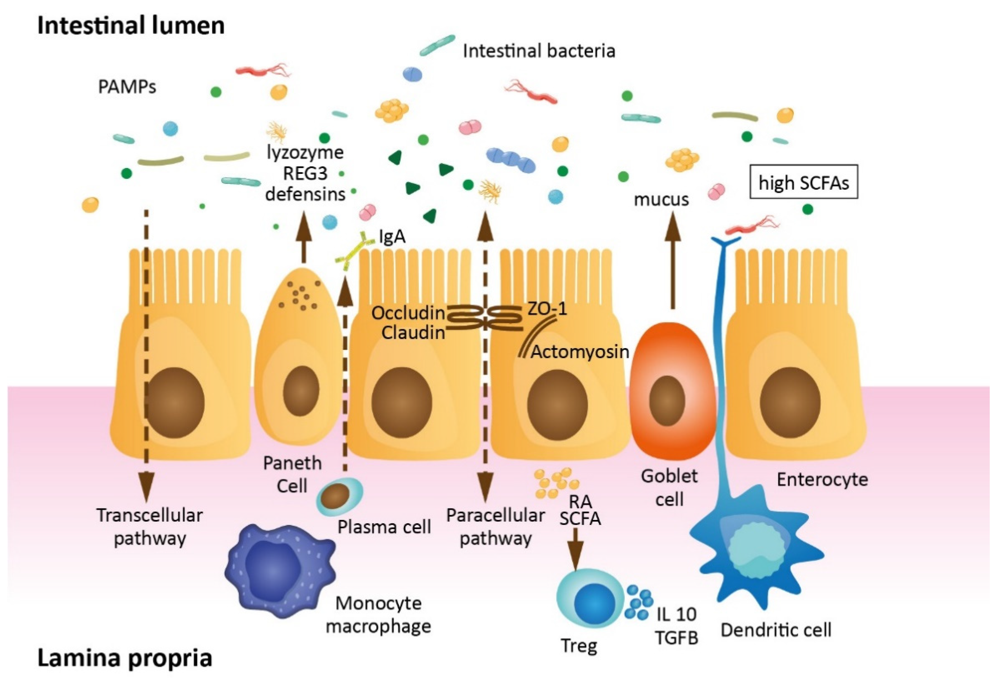 Jcm 10 02508 g001 Jcm 10 02508 g001