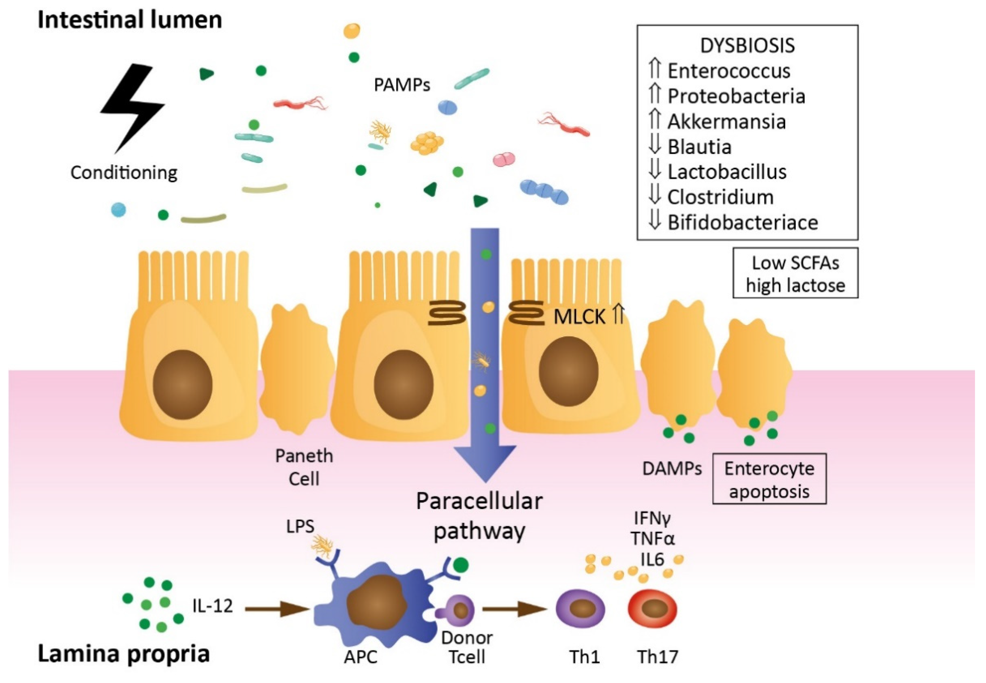 Jcm 10 02508 g002 Jcm 10 02508 g002