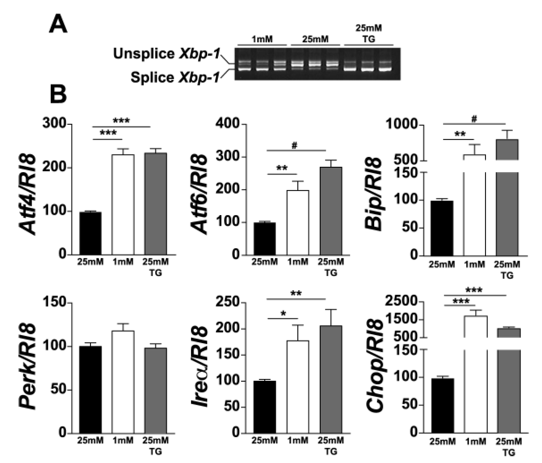 Jcm 10 02529 g001 Jcm 10 02529 g001