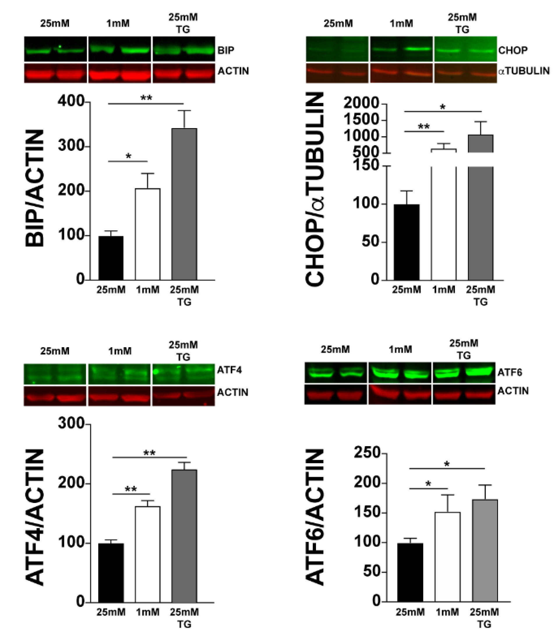 Jcm 10 02529 g002 Jcm 10 02529 g002