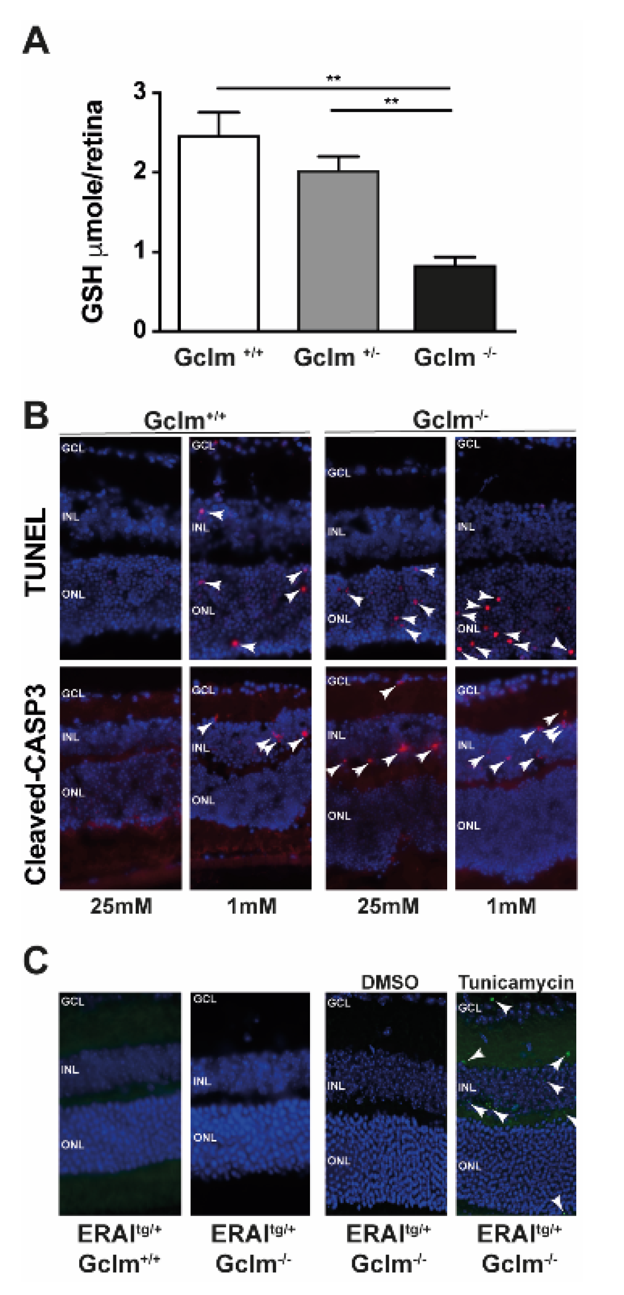 Jcm 10 02529 g005 Jcm 10 02529 g005
