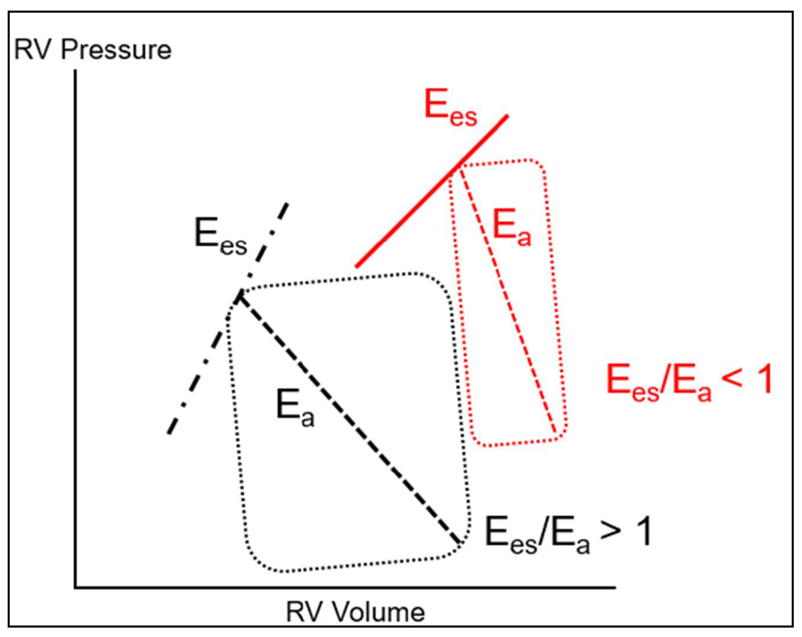 Jcm Free Full Text The Right Ventricle In Covid 19 Html