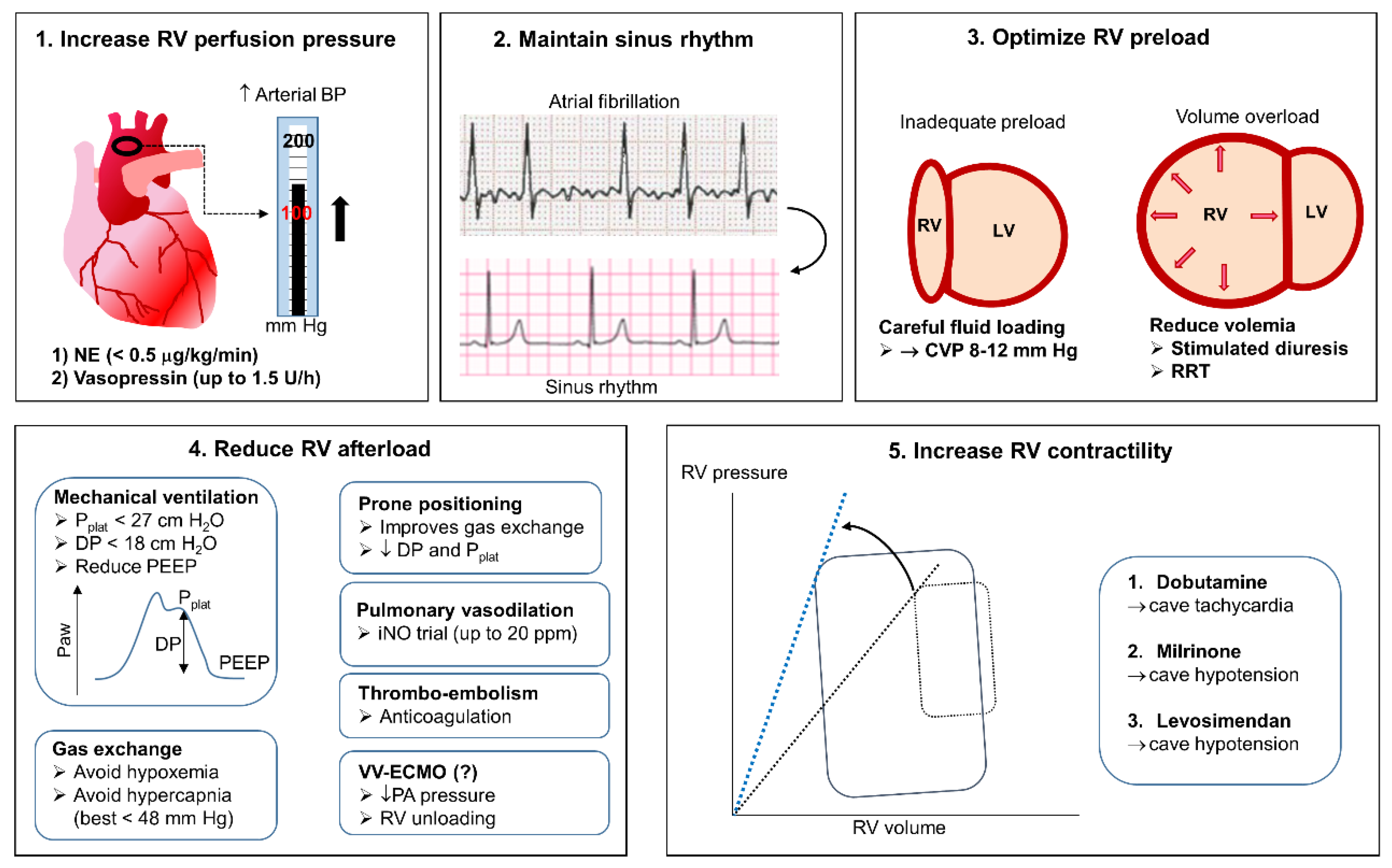 Jcm 10 02535 g003 Jcm 10 02535 g003