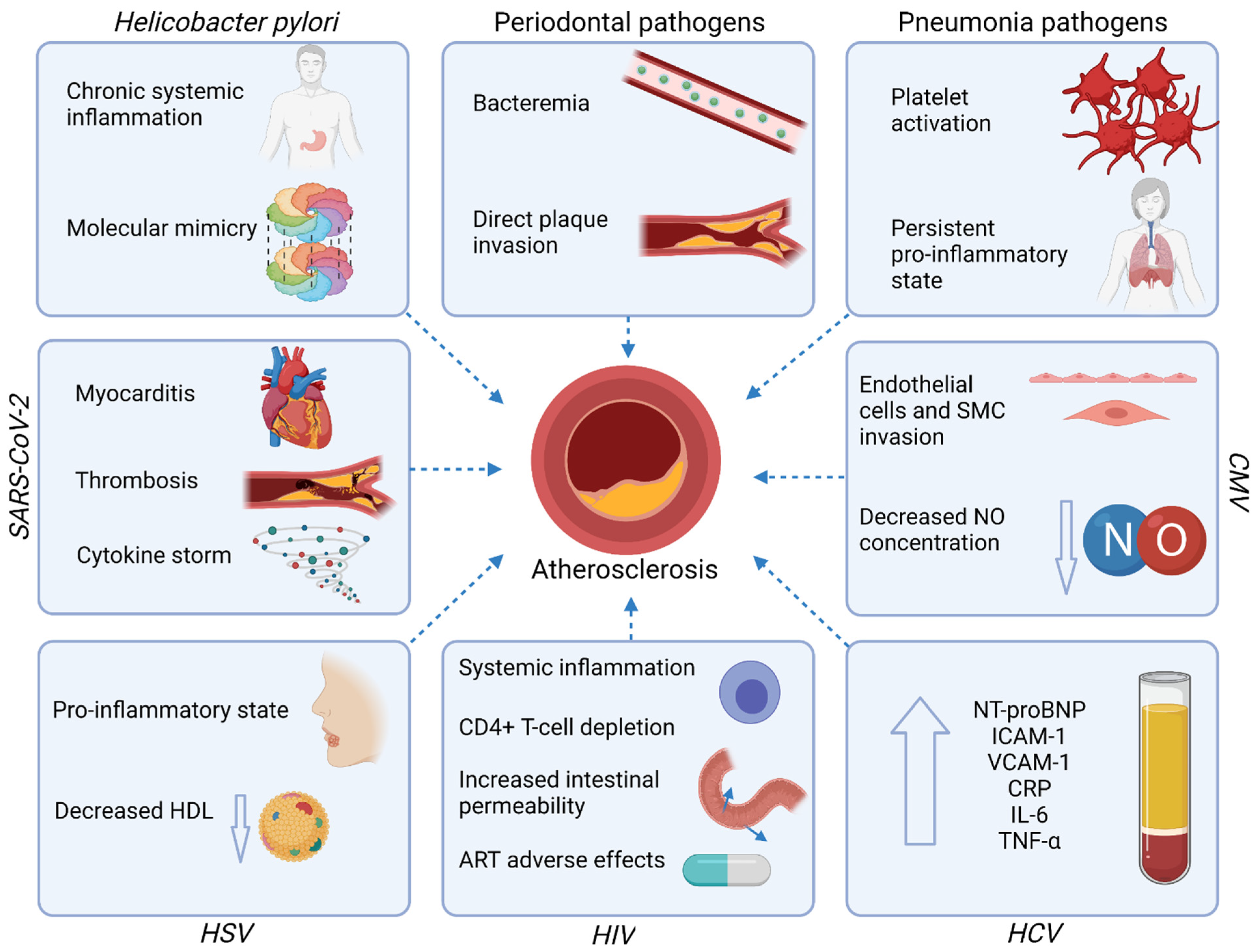 Jcm 10 02539 g002 Jcm 10 02539 g002