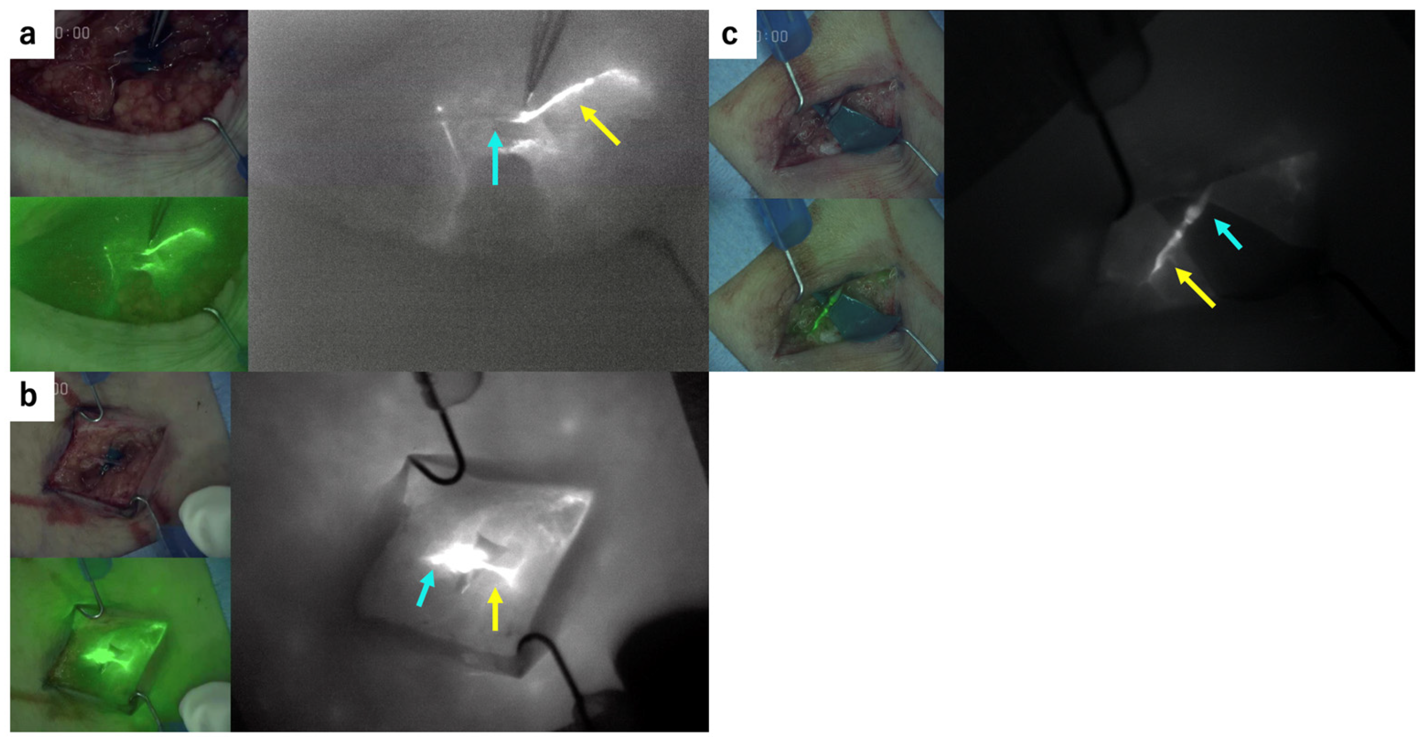 Jcm 10 02595 g004 550