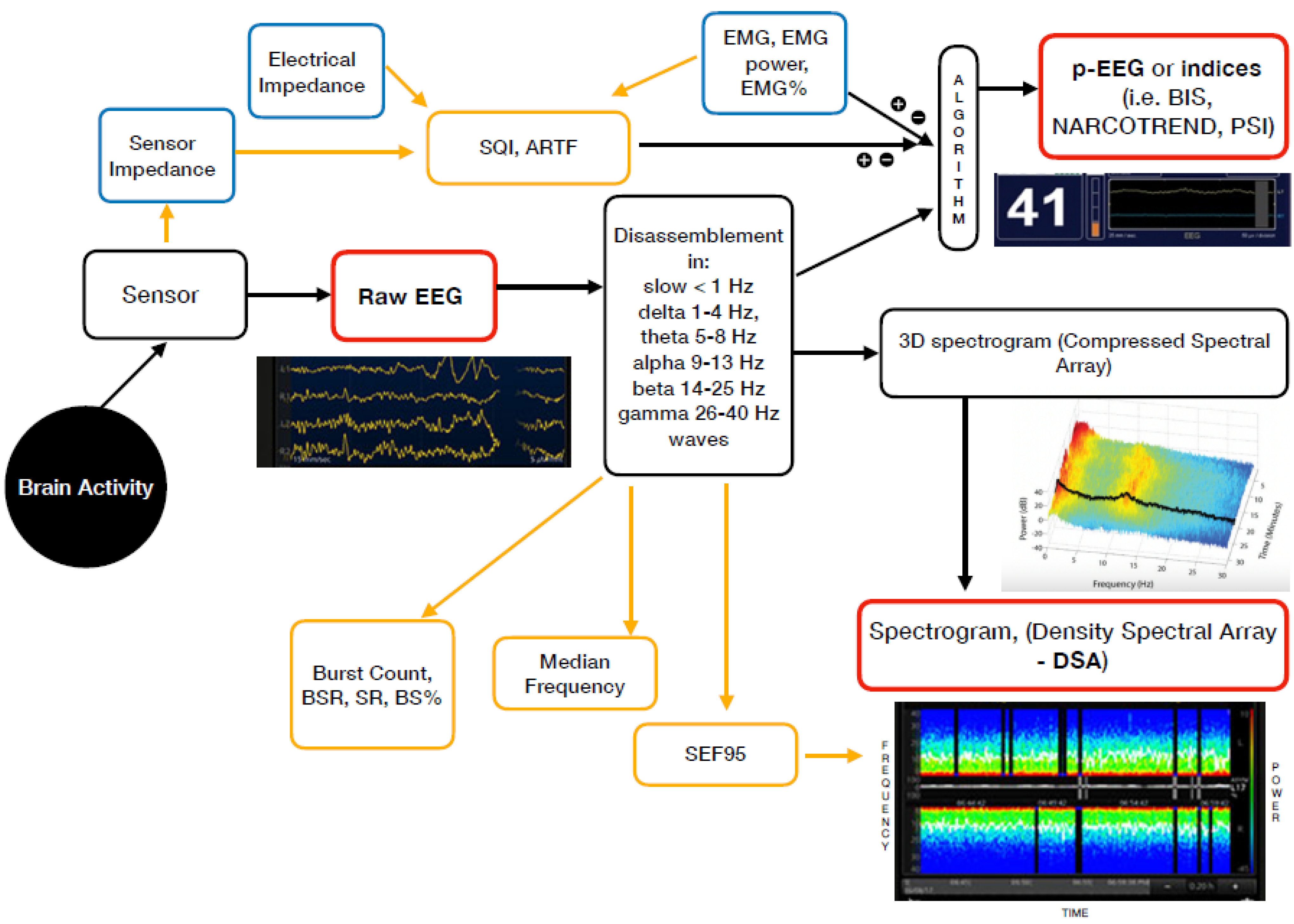 Neural monitoring