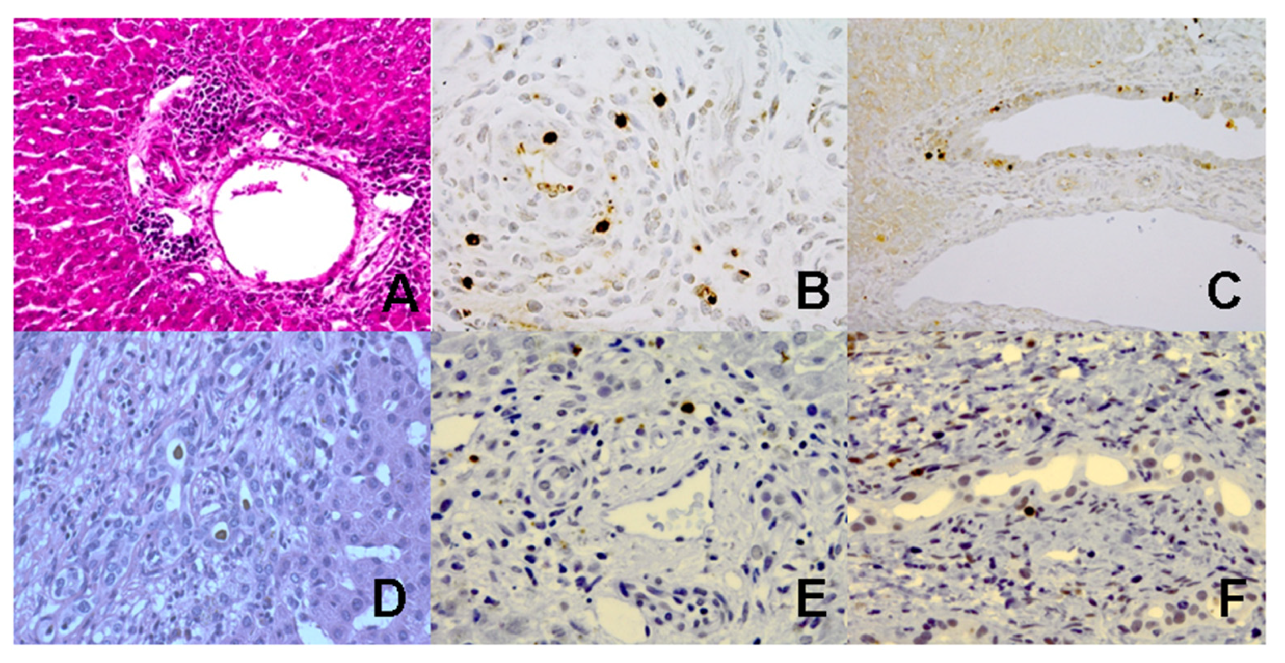 Jcm 10 02718 g001 Jcm 10 02718 g001
