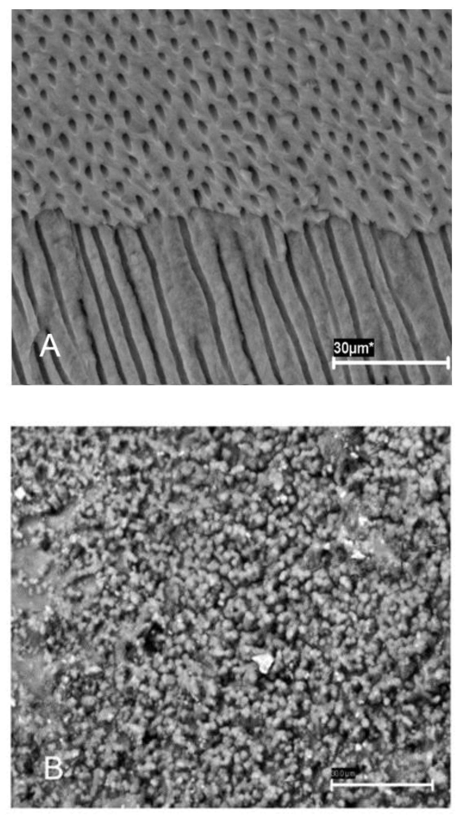 Jcm 10 02725 g002a 550