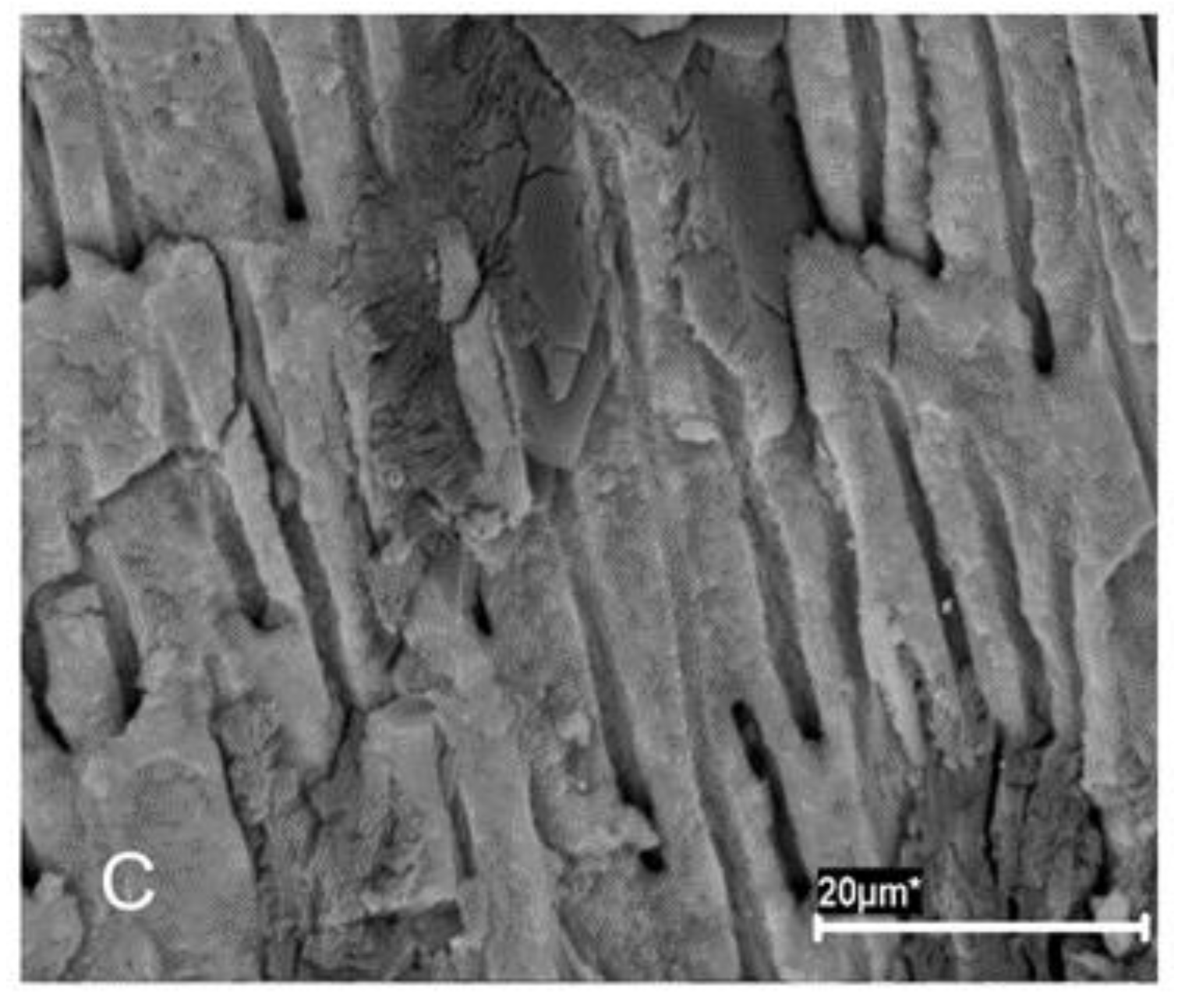 Jcm 10 02725 g002b 550