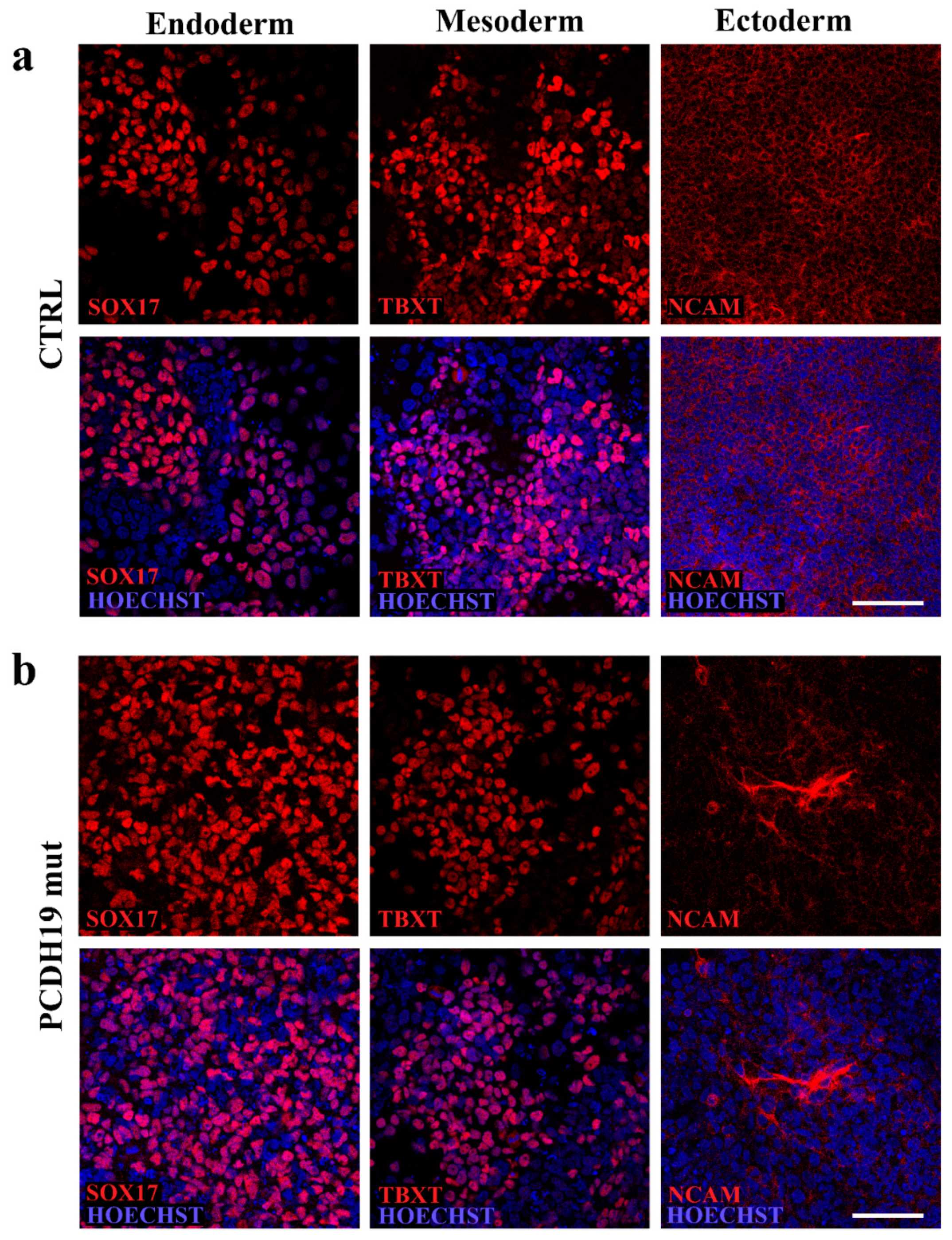 Jcm 10 02754 g002 550