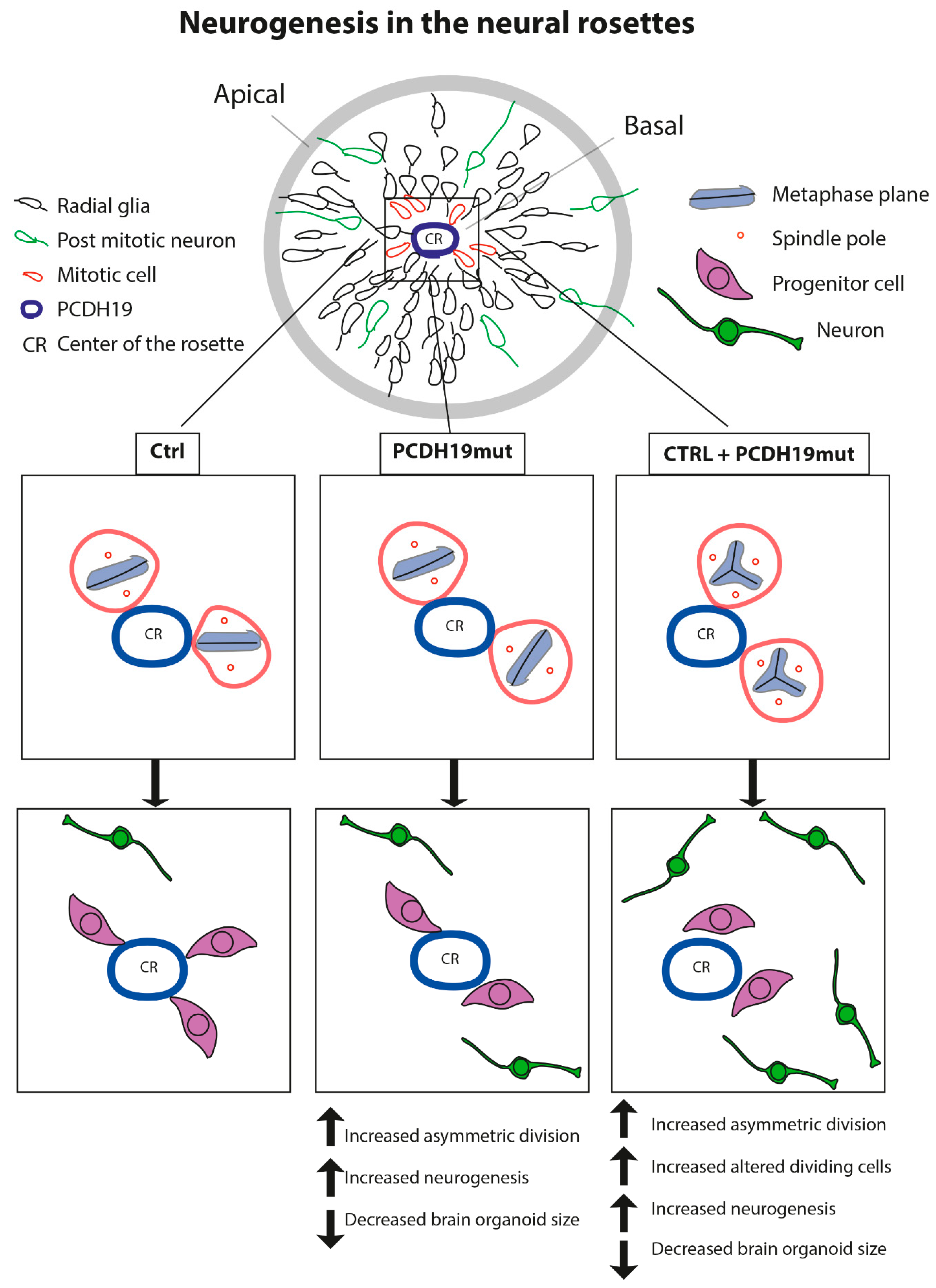 Jcm 10 02754 g008 550
